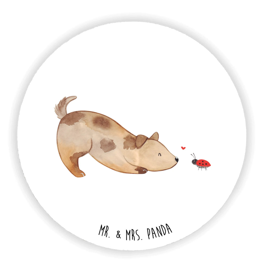 Okrągły magnes pies biedronka Notiz Magnet, Kühlschrankmagnet, Pinnwandmagnet, Dekomagnet, Souvenir Magnet, Kühlschrank Dekoration, Whiteboard Magnet, Motivmagnete, Hund, Hundemotiv, Haustier, Hunderasse, Tierliebhaber, Hundebesitzer, Sprüche, Mischlinghund, Hunde, Mischling, Hundespruch, Marienkäfer