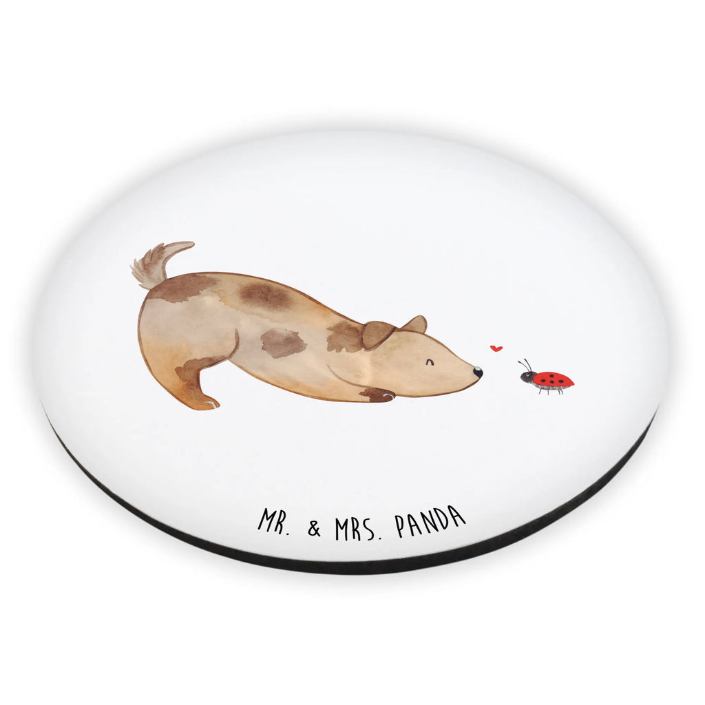 Okrągły magnes pies biedronka Notiz Magnet, Kühlschrankmagnet, Pinnwandmagnet, Dekomagnet, Souvenir Magnet, Kühlschrank Dekoration, Whiteboard Magnet, Motivmagnete, Hund, Hundemotiv, Haustier, Hunderasse, Tierliebhaber, Hundebesitzer, Sprüche, Mischlinghund, Hunde, Mischling, Hundespruch, Marienkäfer