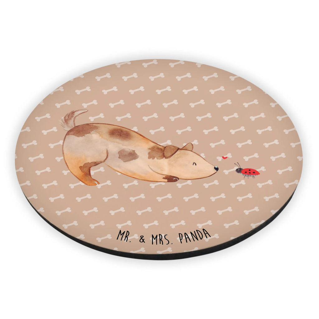 Okrągły magnes pies biedronka Notiz Magnet, Kühlschrankmagnet, Pinnwandmagnet, Dekomagnet, Souvenir Magnet, Kühlschrank Dekoration, Whiteboard Magnet, Motivmagnete, Hund, Hundemotiv, Haustier, Hunderasse, Tierliebhaber, Hundebesitzer, Sprüche, Mischlinghund, Hunde, Mischling, Hundespruch, Marienkäfer