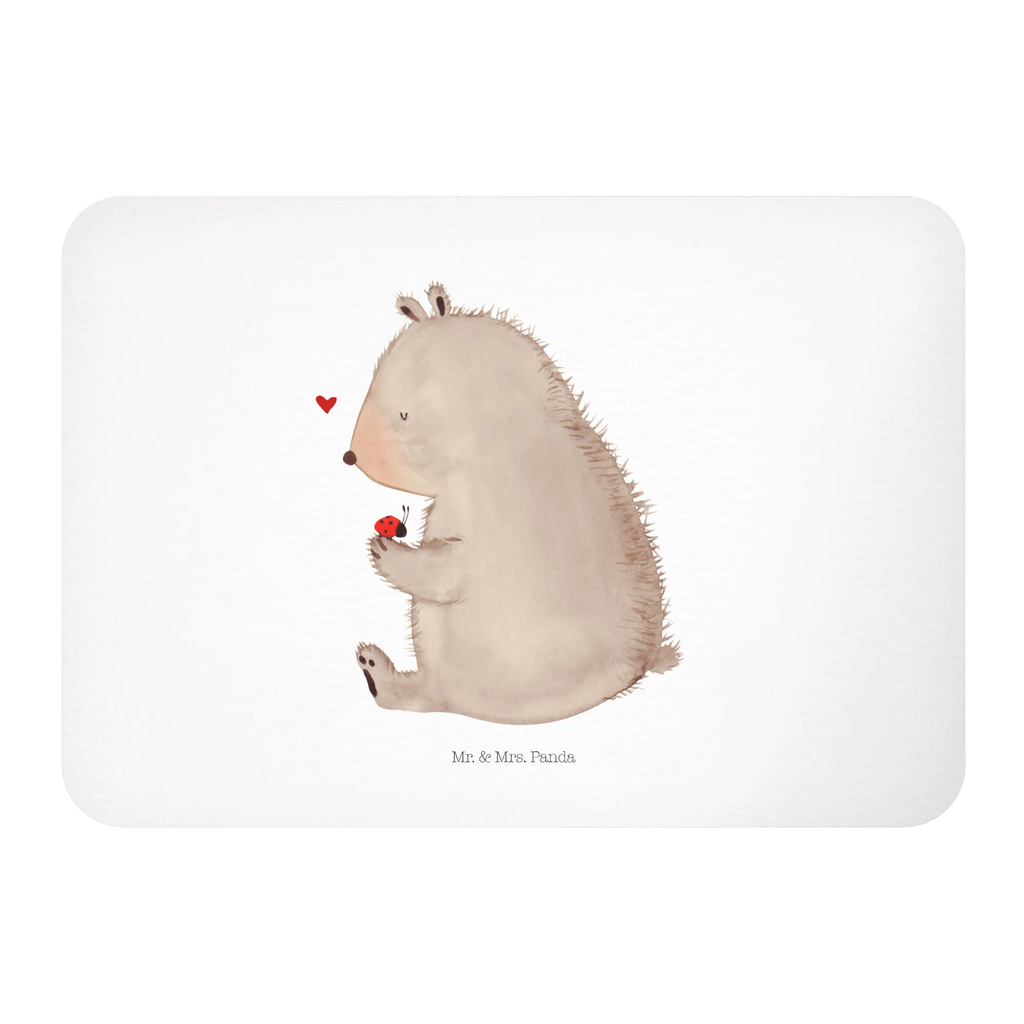 Magnet bear ladybug magnetic board, magnet, refrigerator magnet, calendar magnet, office magnet, refrigerator magnets, bear, teddy, teddy bear, cuddly toy, freedom, life is beautiful, ladybird, motivation, love