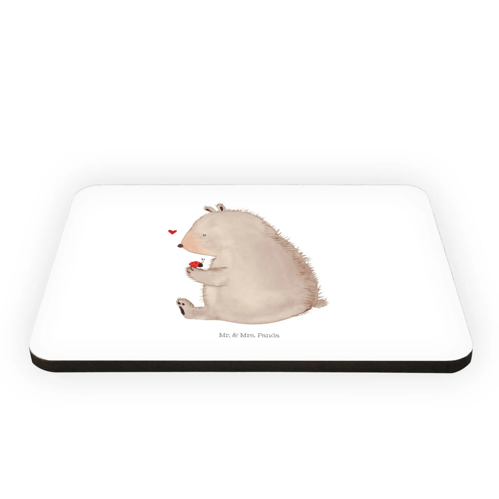 Magnet bear ladybug magnetic board, magnet, refrigerator magnet, calendar magnet, office magnet, refrigerator magnets, bear, teddy, teddy bear, cuddly toy, freedom, life is beautiful, ladybird, motivation, love