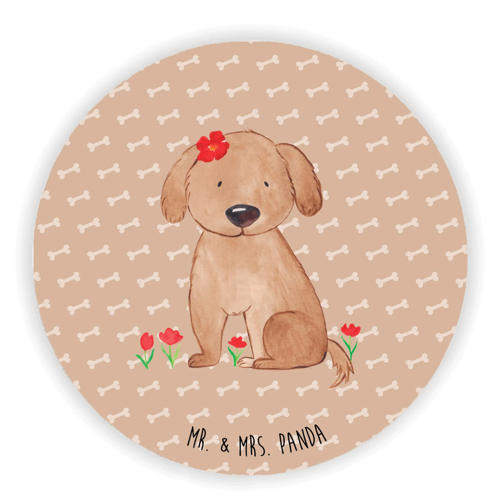 Okrągły magnes pies Dama magnete, Kühlschrankmagnet, rundmagnet, kühlschrankmagnete, Hunderasse, Hundebesitzer, Sprüche, Hundemotiv, Haustier, Tierliebhaber, Hund, Frauchen, Hundeglück, Liebe, Hunde, Hundeliebe