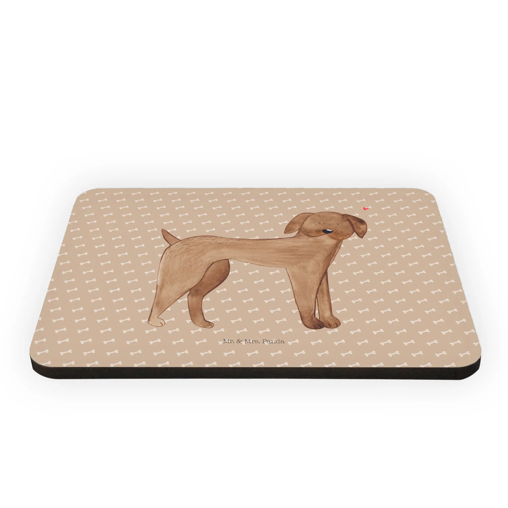 Magnes pies Dog niemiecki Pies, motyw psa, zwierzę domowe, rasa psa, miłośnik zwierząt, właściciel psa, powiedzenia