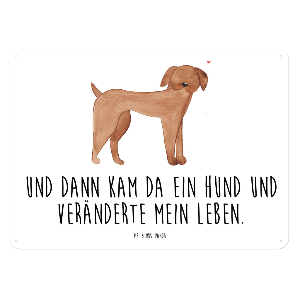 Blechschild Hund Dogge Blechschild Groß, Blechschild, Blechschild Küche, Blechschild Für Männer, Dekoschild Metall, Blechschild Büro, Blechschild Für Frauen, Türschild Metall, Blechschild Zum Aufhängen, Wandschild Metall, Hunderasse, Hundebesitzer, Hund, Haustier, Sprüche, Tierliebhaber, Hundemotiv, Great Dane, Deutsche Dogge, Hunde, Dogge