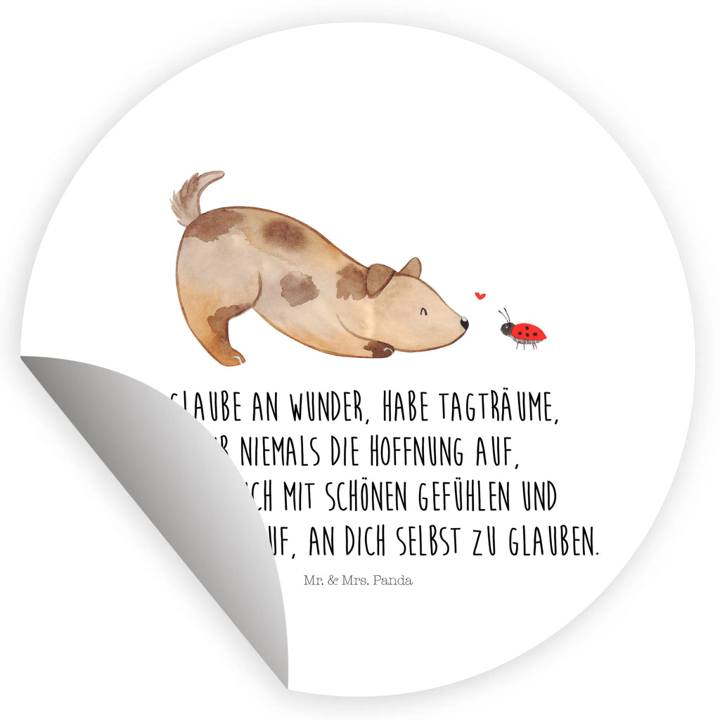 Round sticker Dog ladybug Kindergeburtstag, Runde Aufkleber Für Hochzeit, Blanko Rundaufkleber, Runde Aufkleber Groß, Rundes Klebeetikett, Runde Aufkleber Klein, Runde Aufkleber Für Kinderzimmer, Matte Runde Aufkleber, Runde Papieraufkleber, Runde Aufkleber Für Geschenke, Runde Klebepunkte, Runde Beschriftungsetiketten, Transparentes Rundetikett, Runde Stickerfolie, Runder Aufkleber, Runde Aufkleber Set, Runde Haftfolie, Rundes Siegel, Runde Etikettenrolle, UV-Beständiger Runder Sticker, Sammeln, Bedruckter Runder Aufkleber, Runde Aufkleber Für Verpackungen, Runde Aufkleber Für Flaschen, Runde Vinylaufkleber, Runder Sticker, Weißes Rundlabel, Glänzende Runde Aufkleber, Rundes Label, Runde Klebefolie, Selbstklebender Runder Aufkleber, Farbiger Runder Aufkleber, Rundes Etikett, Kreisrunder Aufkleber, Wasserfester Runder Aufkleber, Tierliebhaber, Haustier, Hund, Hundemotiv, Sprüche, Hunderasse, Hundebesitzer, Hundespruch, Hunde, Mischlinghund, Marienkäfer, Mischling