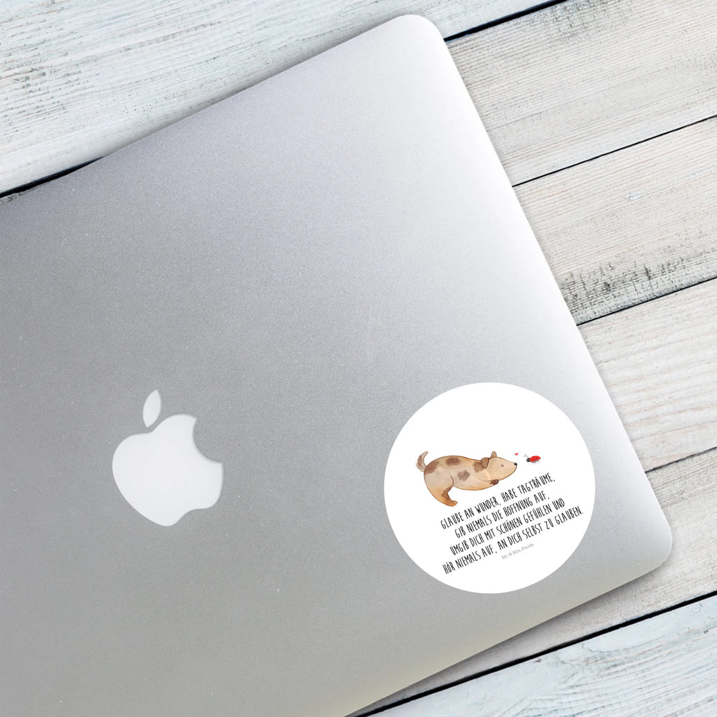 Round sticker Dog ladybug Kindergeburtstag, Runde Aufkleber Für Hochzeit, Blanko Rundaufkleber, Runde Aufkleber Groß, Rundes Klebeetikett, Runde Aufkleber Klein, Runde Aufkleber Für Kinderzimmer, Matte Runde Aufkleber, Runde Papieraufkleber, Runde Aufkleber Für Geschenke, Runde Klebepunkte, Runde Beschriftungsetiketten, Transparentes Rundetikett, Runde Stickerfolie, Runder Aufkleber, Runde Aufkleber Set, Runde Haftfolie, Rundes Siegel, Runde Etikettenrolle, UV-Beständiger Runder Sticker, Sammeln, Bedruckter Runder Aufkleber, Runde Aufkleber Für Verpackungen, Runde Aufkleber Für Flaschen, Runde Vinylaufkleber, Runder Sticker, Weißes Rundlabel, Glänzende Runde Aufkleber, Rundes Label, Runde Klebefolie, Selbstklebender Runder Aufkleber, Farbiger Runder Aufkleber, Rundes Etikett, Kreisrunder Aufkleber, Wasserfester Runder Aufkleber, Tierliebhaber, Haustier, Hund, Hundemotiv, Sprüche, Hunderasse, Hundebesitzer, Hundespruch, Hunde, Mischlinghund, Marienkäfer, Mischling