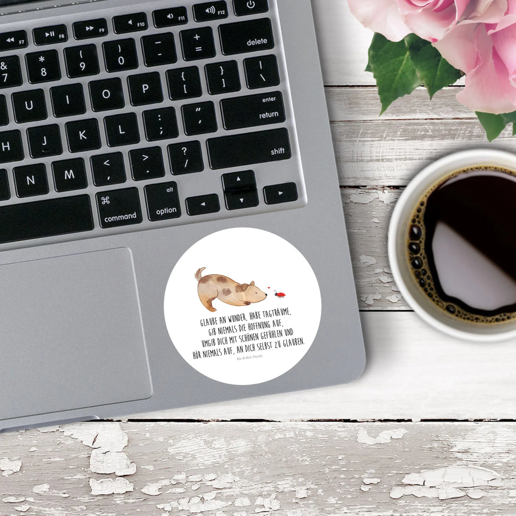 Round sticker Dog ladybug Kindergeburtstag, Runde Aufkleber Für Hochzeit, Blanko Rundaufkleber, Runde Aufkleber Groß, Rundes Klebeetikett, Runde Aufkleber Klein, Runde Aufkleber Für Kinderzimmer, Matte Runde Aufkleber, Runde Papieraufkleber, Runde Aufkleber Für Geschenke, Runde Klebepunkte, Runde Beschriftungsetiketten, Transparentes Rundetikett, Runde Stickerfolie, Runder Aufkleber, Runde Aufkleber Set, Runde Haftfolie, Rundes Siegel, Runde Etikettenrolle, UV-Beständiger Runder Sticker, Sammeln, Bedruckter Runder Aufkleber, Runde Aufkleber Für Verpackungen, Runde Aufkleber Für Flaschen, Runde Vinylaufkleber, Runder Sticker, Weißes Rundlabel, Glänzende Runde Aufkleber, Rundes Label, Runde Klebefolie, Selbstklebender Runder Aufkleber, Farbiger Runder Aufkleber, Rundes Etikett, Kreisrunder Aufkleber, Wasserfester Runder Aufkleber, Tierliebhaber, Haustier, Hund, Hundemotiv, Sprüche, Hunderasse, Hundebesitzer, Hundespruch, Hunde, Mischlinghund, Marienkäfer, Mischling