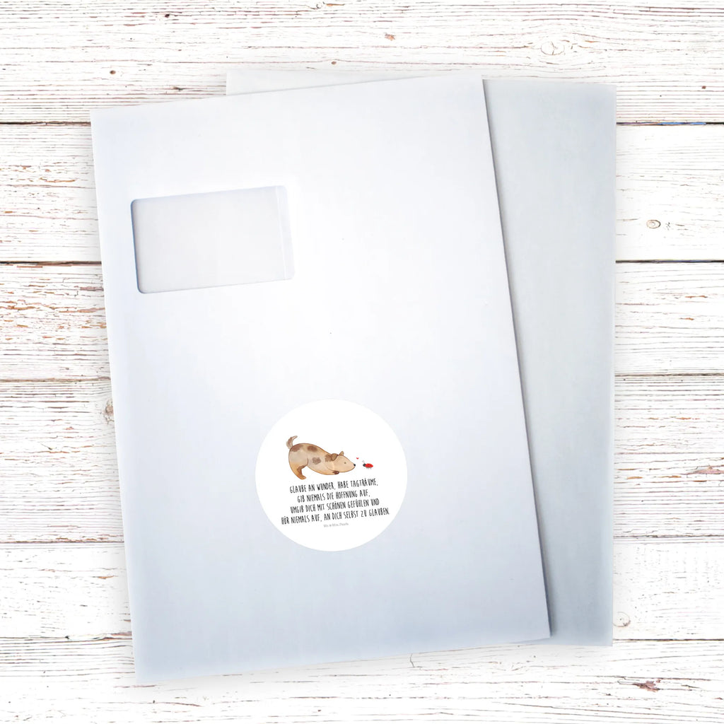 Round sticker Dog ladybug Kindergeburtstag, Runde Aufkleber Für Hochzeit, Blanko Rundaufkleber, Runde Aufkleber Groß, Rundes Klebeetikett, Runde Aufkleber Klein, Runde Aufkleber Für Kinderzimmer, Matte Runde Aufkleber, Runde Papieraufkleber, Runde Aufkleber Für Geschenke, Runde Klebepunkte, Runde Beschriftungsetiketten, Transparentes Rundetikett, Runde Stickerfolie, Runder Aufkleber, Runde Aufkleber Set, Runde Haftfolie, Rundes Siegel, Runde Etikettenrolle, UV-Beständiger Runder Sticker, Sammeln, Bedruckter Runder Aufkleber, Runde Aufkleber Für Verpackungen, Runde Aufkleber Für Flaschen, Runde Vinylaufkleber, Runder Sticker, Weißes Rundlabel, Glänzende Runde Aufkleber, Rundes Label, Runde Klebefolie, Selbstklebender Runder Aufkleber, Farbiger Runder Aufkleber, Rundes Etikett, Kreisrunder Aufkleber, Wasserfester Runder Aufkleber, Tierliebhaber, Haustier, Hund, Hundemotiv, Sprüche, Hunderasse, Hundebesitzer, Hundespruch, Hunde, Mischlinghund, Marienkäfer, Mischling
