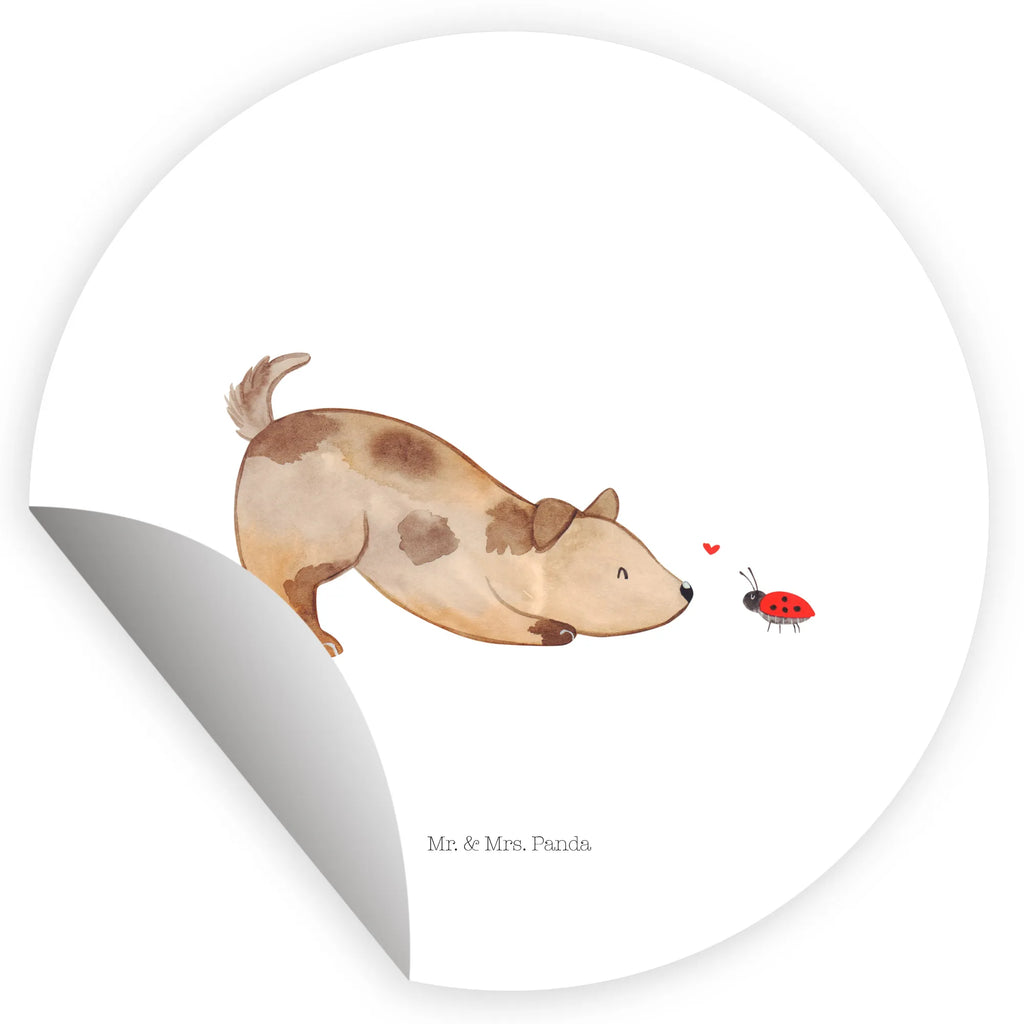 Round sticker Dog ladybug Kindergeburtstag, Runde Aufkleber Für Hochzeit, Blanko Rundaufkleber, Runde Aufkleber Groß, Rundes Klebeetikett, Runde Aufkleber Klein, Runde Aufkleber Für Kinderzimmer, Matte Runde Aufkleber, Runde Papieraufkleber, Runde Aufkleber Für Geschenke, Runde Klebepunkte, Runde Beschriftungsetiketten, Transparentes Rundetikett, Runde Stickerfolie, Runder Aufkleber, Runde Aufkleber Set, Runde Haftfolie, Rundes Siegel, Runde Etikettenrolle, UV-Beständiger Runder Sticker, Sammeln, Bedruckter Runder Aufkleber, Runde Aufkleber Für Verpackungen, Runde Aufkleber Für Flaschen, Runde Vinylaufkleber, Runder Sticker, Weißes Rundlabel, Glänzende Runde Aufkleber, Rundes Label, Runde Klebefolie, Selbstklebender Runder Aufkleber, Farbiger Runder Aufkleber, Rundes Etikett, Kreisrunder Aufkleber, Wasserfester Runder Aufkleber, Tierliebhaber, Haustier, Hund, Hundemotiv, Sprüche, Hunderasse, Hundebesitzer, Hundespruch, Hunde, Mischlinghund, Marienkäfer, Mischling