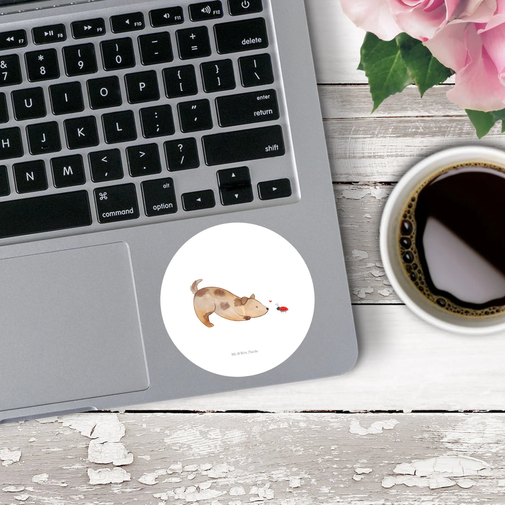 Round sticker Dog ladybug Kindergeburtstag, Runde Aufkleber Für Hochzeit, Blanko Rundaufkleber, Runde Aufkleber Groß, Rundes Klebeetikett, Runde Aufkleber Klein, Runde Aufkleber Für Kinderzimmer, Matte Runde Aufkleber, Runde Papieraufkleber, Runde Aufkleber Für Geschenke, Runde Klebepunkte, Runde Beschriftungsetiketten, Transparentes Rundetikett, Runde Stickerfolie, Runder Aufkleber, Runde Aufkleber Set, Runde Haftfolie, Rundes Siegel, Runde Etikettenrolle, UV-Beständiger Runder Sticker, Sammeln, Bedruckter Runder Aufkleber, Runde Aufkleber Für Verpackungen, Runde Aufkleber Für Flaschen, Runde Vinylaufkleber, Runder Sticker, Weißes Rundlabel, Glänzende Runde Aufkleber, Rundes Label, Runde Klebefolie, Selbstklebender Runder Aufkleber, Farbiger Runder Aufkleber, Rundes Etikett, Kreisrunder Aufkleber, Wasserfester Runder Aufkleber, Tierliebhaber, Haustier, Hund, Hundemotiv, Sprüche, Hunderasse, Hundebesitzer, Hundespruch, Hunde, Mischlinghund, Marienkäfer, Mischling