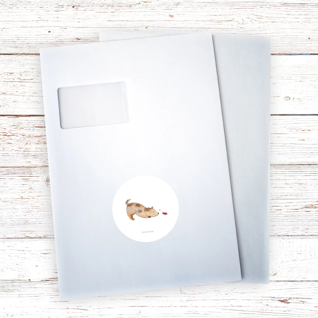 Round sticker Dog ladybug Kindergeburtstag, Runde Aufkleber Für Hochzeit, Blanko Rundaufkleber, Runde Aufkleber Groß, Rundes Klebeetikett, Runde Aufkleber Klein, Runde Aufkleber Für Kinderzimmer, Matte Runde Aufkleber, Runde Papieraufkleber, Runde Aufkleber Für Geschenke, Runde Klebepunkte, Runde Beschriftungsetiketten, Transparentes Rundetikett, Runde Stickerfolie, Runder Aufkleber, Runde Aufkleber Set, Runde Haftfolie, Rundes Siegel, Runde Etikettenrolle, UV-Beständiger Runder Sticker, Sammeln, Bedruckter Runder Aufkleber, Runde Aufkleber Für Verpackungen, Runde Aufkleber Für Flaschen, Runde Vinylaufkleber, Runder Sticker, Weißes Rundlabel, Glänzende Runde Aufkleber, Rundes Label, Runde Klebefolie, Selbstklebender Runder Aufkleber, Farbiger Runder Aufkleber, Rundes Etikett, Kreisrunder Aufkleber, Wasserfester Runder Aufkleber, Tierliebhaber, Haustier, Hund, Hundemotiv, Sprüche, Hunderasse, Hundebesitzer, Hundespruch, Hunde, Mischlinghund, Marienkäfer, Mischling