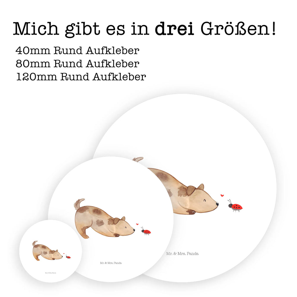 Round sticker Dog ladybug Kindergeburtstag, Runde Aufkleber Für Hochzeit, Blanko Rundaufkleber, Runde Aufkleber Groß, Rundes Klebeetikett, Runde Aufkleber Klein, Runde Aufkleber Für Kinderzimmer, Matte Runde Aufkleber, Runde Papieraufkleber, Runde Aufkleber Für Geschenke, Runde Klebepunkte, Runde Beschriftungsetiketten, Transparentes Rundetikett, Runde Stickerfolie, Runder Aufkleber, Runde Aufkleber Set, Runde Haftfolie, Rundes Siegel, Runde Etikettenrolle, UV-Beständiger Runder Sticker, Sammeln, Bedruckter Runder Aufkleber, Runde Aufkleber Für Verpackungen, Runde Aufkleber Für Flaschen, Runde Vinylaufkleber, Runder Sticker, Weißes Rundlabel, Glänzende Runde Aufkleber, Rundes Label, Runde Klebefolie, Selbstklebender Runder Aufkleber, Farbiger Runder Aufkleber, Rundes Etikett, Kreisrunder Aufkleber, Wasserfester Runder Aufkleber, Tierliebhaber, Haustier, Hund, Hundemotiv, Sprüche, Hunderasse, Hundebesitzer, Hundespruch, Hunde, Mischlinghund, Marienkäfer, Mischling