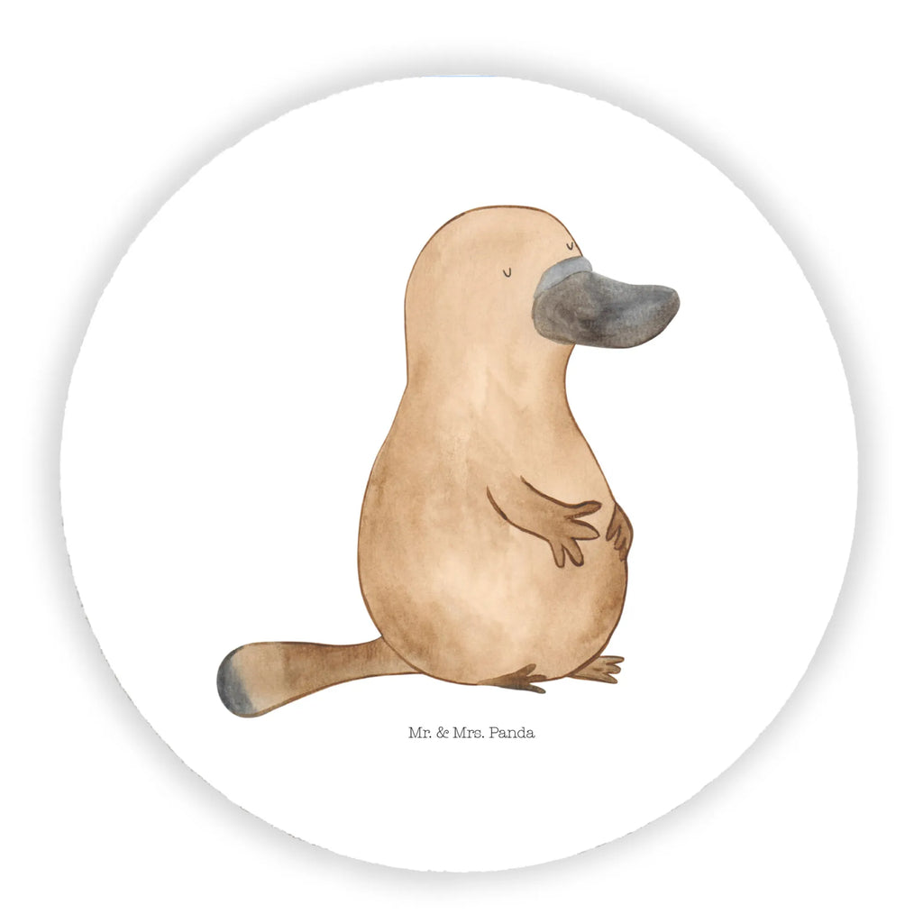 Round magnet platypus courage refrigerator magnet, magnetic board, office magnet, calendar magnet, magnet, refrigerator magnets, Seafood, aquatic animals, ocean, sea, fish, shells, corals, reef, whale, narwhal, sea urchin, lobster, platypus, turtle, manatee, crocodile, orca, shrimp, gifts for seafood lovers, water world, underwater animals, underwater world, vacation, deep sea, seafood fans, gift ideas, seafood decoration, seafood posters, new start, work, brave, training, wisdom, new beginning, motivation, world trip, office, courage, Raodtrip, Platypus