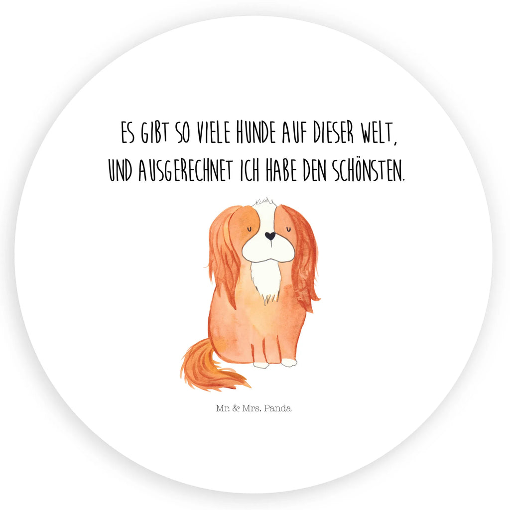 Rund Aufkleber Cavalier King Charles Spaniel Runde Klebefolie, Blanko Rundaufkleber, Glänzende Runde Aufkleber, Farbiger Runder Aufkleber, Runde Papieraufkleber, Runder Sticker, Weißes Rundlabel, Runde Stickerfolie, Runde Aufkleber Klein, Runder Aufkleber, UV-Beständiger Runder Sticker, Runde Vinylaufkleber, Matte Runde Aufkleber, Runde Klebepunkte, Runde Beschriftungsetiketten, Bedruckter Runder Aufkleber, Runde Aufkleber Set, Kreisrunder Aufkleber, Runde Aufkleber Für Hochzeit, Runde Aufkleber Für Geschenke, Runde Aufkleber Für Verpackungen, Runde Aufkleber Groß, Runde Haftfolie, Runde Etikettenrolle, Rundes Label, Transparentes Rundetikett, Wasserfester Runder Aufkleber, Kindergeburtstag, Rundes Klebeetikett, Selbstklebender Runder Aufkleber, Runde Aufkleber Für Kinderzimmer, Sammeln, Runde Aufkleber Für Flaschen, Rundes Etikett, Rundes Siegel, Tierliebhaber, Haustier, Hund, Hundemotiv, Sprüche, Hunderasse, Hundebesitzer, Cavalier King Charles Spaniel, Schönster Hund, Spaniel, Cockerspaniel, Spruch