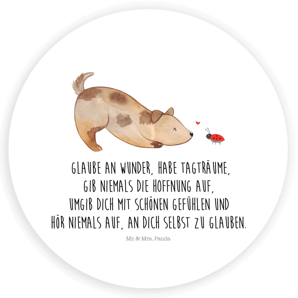 Round sticker Dog ladybug Kindergeburtstag, Runde Aufkleber Für Hochzeit, Blanko Rundaufkleber, Runde Aufkleber Groß, Rundes Klebeetikett, Runde Aufkleber Klein, Runde Aufkleber Für Kinderzimmer, Matte Runde Aufkleber, Runde Papieraufkleber, Runde Aufkleber Für Geschenke, Runde Klebepunkte, Runde Beschriftungsetiketten, Transparentes Rundetikett, Runde Stickerfolie, Runder Aufkleber, Runde Aufkleber Set, Runde Haftfolie, Rundes Siegel, Runde Etikettenrolle, UV-Beständiger Runder Sticker, Sammeln, Bedruckter Runder Aufkleber, Runde Aufkleber Für Verpackungen, Runde Aufkleber Für Flaschen, Runde Vinylaufkleber, Runder Sticker, Weißes Rundlabel, Glänzende Runde Aufkleber, Rundes Label, Runde Klebefolie, Selbstklebender Runder Aufkleber, Farbiger Runder Aufkleber, Rundes Etikett, Kreisrunder Aufkleber, Wasserfester Runder Aufkleber, Tierliebhaber, Haustier, Hund, Hundemotiv, Sprüche, Hunderasse, Hundebesitzer, Hundespruch, Hunde, Mischlinghund, Marienkäfer, Mischling