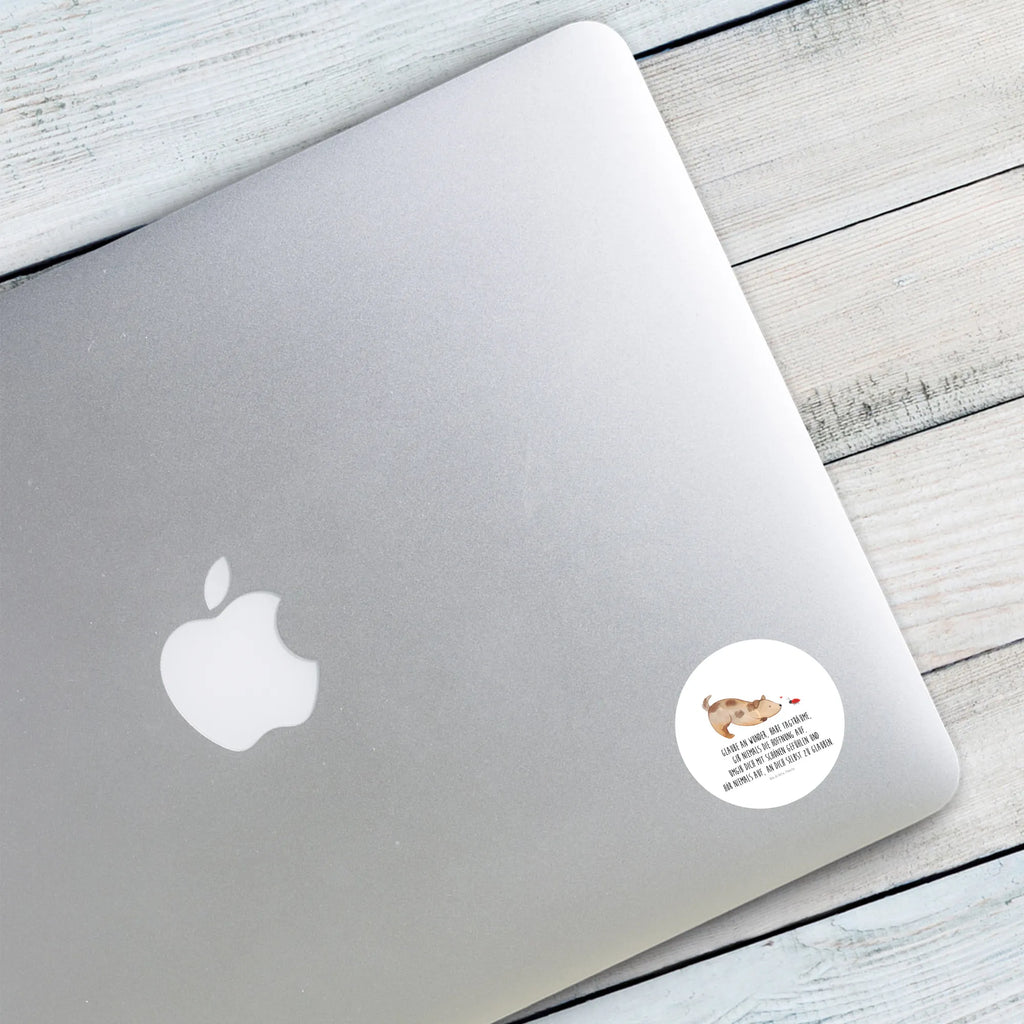 Round sticker Dog ladybug Kindergeburtstag, Runde Aufkleber Für Hochzeit, Blanko Rundaufkleber, Runde Aufkleber Groß, Rundes Klebeetikett, Runde Aufkleber Klein, Runde Aufkleber Für Kinderzimmer, Matte Runde Aufkleber, Runde Papieraufkleber, Runde Aufkleber Für Geschenke, Runde Klebepunkte, Runde Beschriftungsetiketten, Transparentes Rundetikett, Runde Stickerfolie, Runder Aufkleber, Runde Aufkleber Set, Runde Haftfolie, Rundes Siegel, Runde Etikettenrolle, UV-Beständiger Runder Sticker, Sammeln, Bedruckter Runder Aufkleber, Runde Aufkleber Für Verpackungen, Runde Aufkleber Für Flaschen, Runde Vinylaufkleber, Runder Sticker, Weißes Rundlabel, Glänzende Runde Aufkleber, Rundes Label, Runde Klebefolie, Selbstklebender Runder Aufkleber, Farbiger Runder Aufkleber, Rundes Etikett, Kreisrunder Aufkleber, Wasserfester Runder Aufkleber, Tierliebhaber, Haustier, Hund, Hundemotiv, Sprüche, Hunderasse, Hundebesitzer, Hundespruch, Hunde, Mischlinghund, Marienkäfer, Mischling