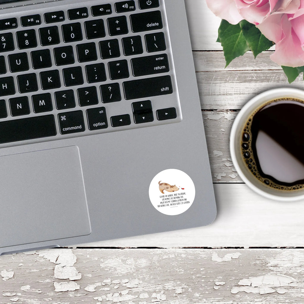 Round sticker Dog ladybug Kindergeburtstag, Runde Aufkleber Für Hochzeit, Blanko Rundaufkleber, Runde Aufkleber Groß, Rundes Klebeetikett, Runde Aufkleber Klein, Runde Aufkleber Für Kinderzimmer, Matte Runde Aufkleber, Runde Papieraufkleber, Runde Aufkleber Für Geschenke, Runde Klebepunkte, Runde Beschriftungsetiketten, Transparentes Rundetikett, Runde Stickerfolie, Runder Aufkleber, Runde Aufkleber Set, Runde Haftfolie, Rundes Siegel, Runde Etikettenrolle, UV-Beständiger Runder Sticker, Sammeln, Bedruckter Runder Aufkleber, Runde Aufkleber Für Verpackungen, Runde Aufkleber Für Flaschen, Runde Vinylaufkleber, Runder Sticker, Weißes Rundlabel, Glänzende Runde Aufkleber, Rundes Label, Runde Klebefolie, Selbstklebender Runder Aufkleber, Farbiger Runder Aufkleber, Rundes Etikett, Kreisrunder Aufkleber, Wasserfester Runder Aufkleber, Tierliebhaber, Haustier, Hund, Hundemotiv, Sprüche, Hunderasse, Hundebesitzer, Hundespruch, Hunde, Mischlinghund, Marienkäfer, Mischling