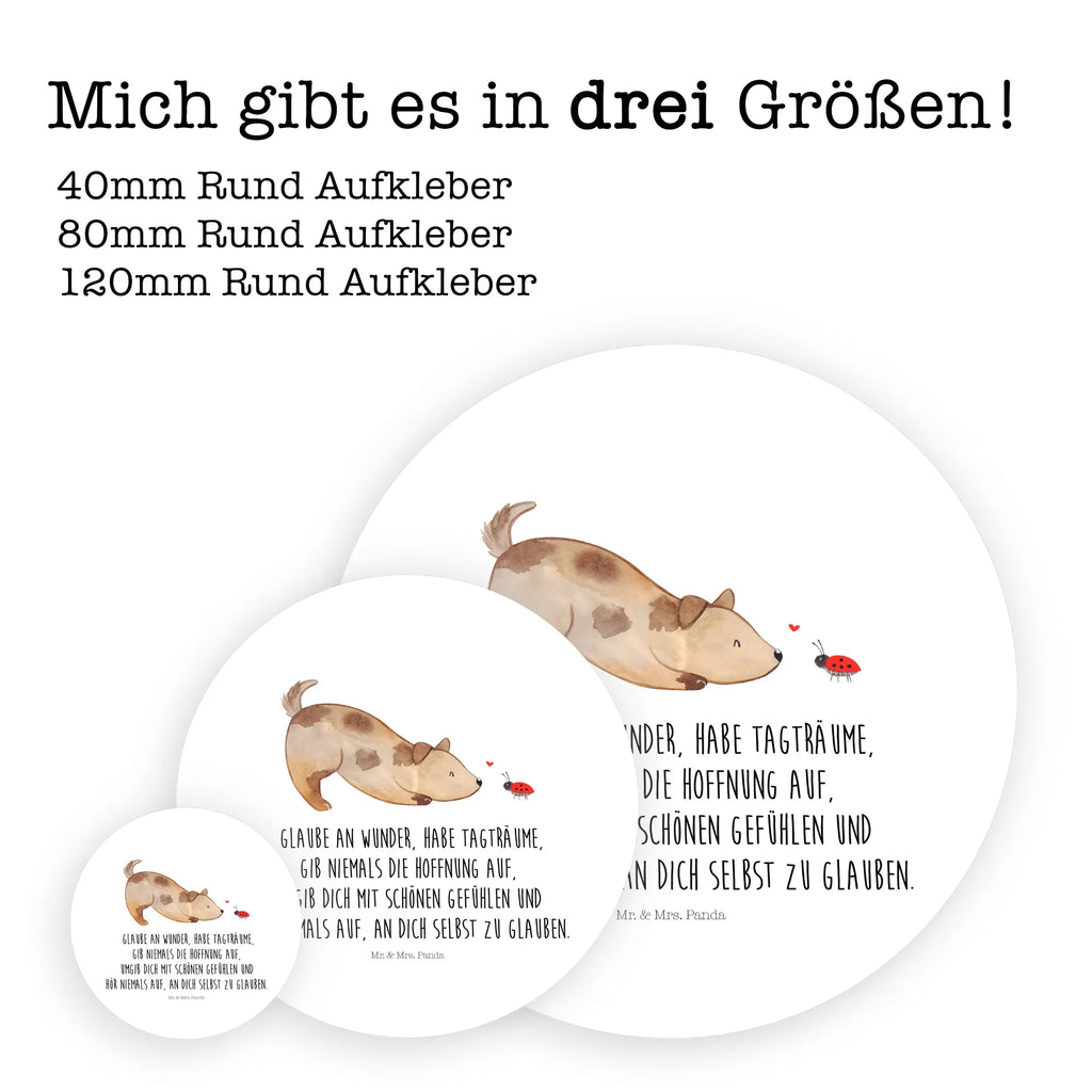 Round sticker Dog ladybug Kindergeburtstag, Runde Aufkleber Für Hochzeit, Blanko Rundaufkleber, Runde Aufkleber Groß, Rundes Klebeetikett, Runde Aufkleber Klein, Runde Aufkleber Für Kinderzimmer, Matte Runde Aufkleber, Runde Papieraufkleber, Runde Aufkleber Für Geschenke, Runde Klebepunkte, Runde Beschriftungsetiketten, Transparentes Rundetikett, Runde Stickerfolie, Runder Aufkleber, Runde Aufkleber Set, Runde Haftfolie, Rundes Siegel, Runde Etikettenrolle, UV-Beständiger Runder Sticker, Sammeln, Bedruckter Runder Aufkleber, Runde Aufkleber Für Verpackungen, Runde Aufkleber Für Flaschen, Runde Vinylaufkleber, Runder Sticker, Weißes Rundlabel, Glänzende Runde Aufkleber, Rundes Label, Runde Klebefolie, Selbstklebender Runder Aufkleber, Farbiger Runder Aufkleber, Rundes Etikett, Kreisrunder Aufkleber, Wasserfester Runder Aufkleber, Tierliebhaber, Haustier, Hund, Hundemotiv, Sprüche, Hunderasse, Hundebesitzer, Hundespruch, Hunde, Mischlinghund, Marienkäfer, Mischling