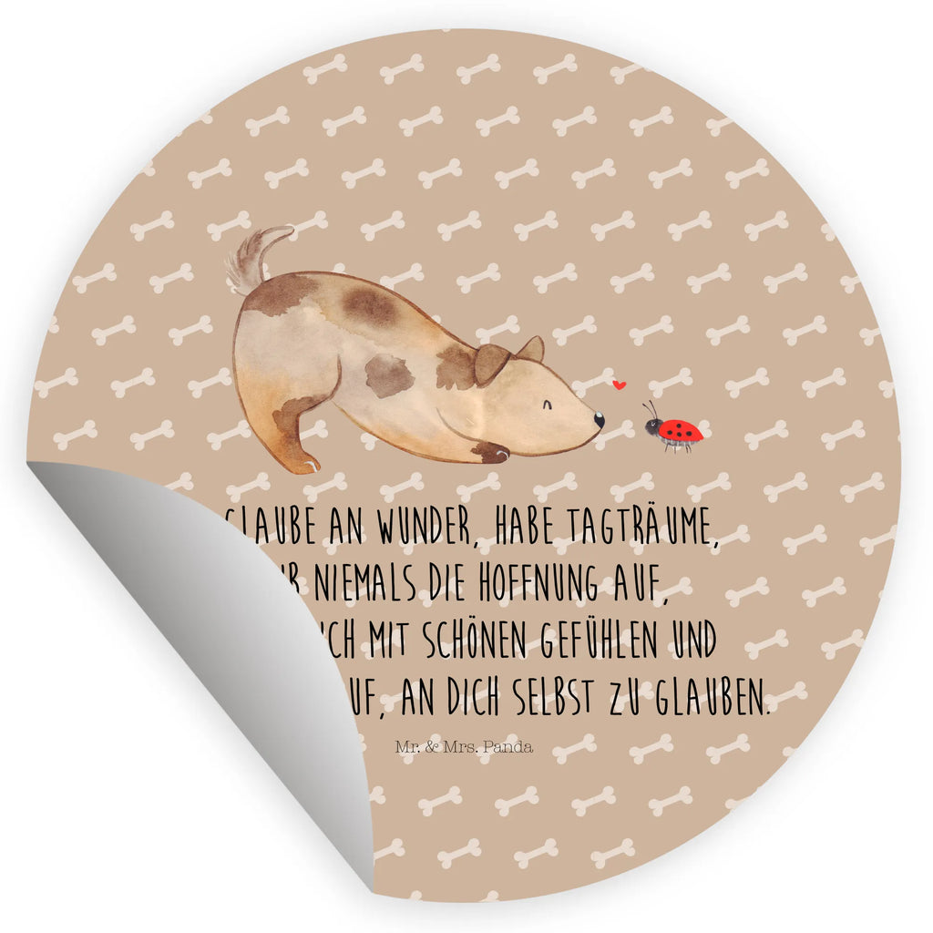Round sticker Dog ladybug Kindergeburtstag, Runde Aufkleber Für Hochzeit, Blanko Rundaufkleber, Runde Aufkleber Groß, Rundes Klebeetikett, Runde Aufkleber Klein, Runde Aufkleber Für Kinderzimmer, Matte Runde Aufkleber, Runde Papieraufkleber, Runde Aufkleber Für Geschenke, Runde Klebepunkte, Runde Beschriftungsetiketten, Transparentes Rundetikett, Runde Stickerfolie, Runder Aufkleber, Runde Aufkleber Set, Runde Haftfolie, Rundes Siegel, Runde Etikettenrolle, UV-Beständiger Runder Sticker, Sammeln, Bedruckter Runder Aufkleber, Runde Aufkleber Für Verpackungen, Runde Aufkleber Für Flaschen, Runde Vinylaufkleber, Runder Sticker, Weißes Rundlabel, Glänzende Runde Aufkleber, Rundes Label, Runde Klebefolie, Selbstklebender Runder Aufkleber, Farbiger Runder Aufkleber, Rundes Etikett, Kreisrunder Aufkleber, Wasserfester Runder Aufkleber, Tierliebhaber, Haustier, Hund, Hundemotiv, Sprüche, Hunderasse, Hundebesitzer, Hundespruch, Hunde, Mischlinghund, Marienkäfer, Mischling