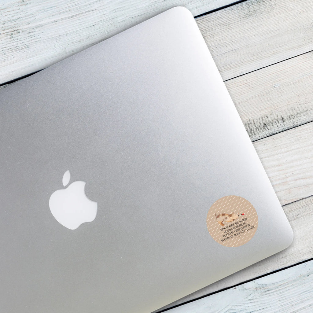 Round sticker Dog ladybug Kindergeburtstag, Runde Aufkleber Für Hochzeit, Blanko Rundaufkleber, Runde Aufkleber Groß, Rundes Klebeetikett, Runde Aufkleber Klein, Runde Aufkleber Für Kinderzimmer, Matte Runde Aufkleber, Runde Papieraufkleber, Runde Aufkleber Für Geschenke, Runde Klebepunkte, Runde Beschriftungsetiketten, Transparentes Rundetikett, Runde Stickerfolie, Runder Aufkleber, Runde Aufkleber Set, Runde Haftfolie, Rundes Siegel, Runde Etikettenrolle, UV-Beständiger Runder Sticker, Sammeln, Bedruckter Runder Aufkleber, Runde Aufkleber Für Verpackungen, Runde Aufkleber Für Flaschen, Runde Vinylaufkleber, Runder Sticker, Weißes Rundlabel, Glänzende Runde Aufkleber, Rundes Label, Runde Klebefolie, Selbstklebender Runder Aufkleber, Farbiger Runder Aufkleber, Rundes Etikett, Kreisrunder Aufkleber, Wasserfester Runder Aufkleber, Tierliebhaber, Haustier, Hund, Hundemotiv, Sprüche, Hunderasse, Hundebesitzer, Hundespruch, Hunde, Mischlinghund, Marienkäfer, Mischling