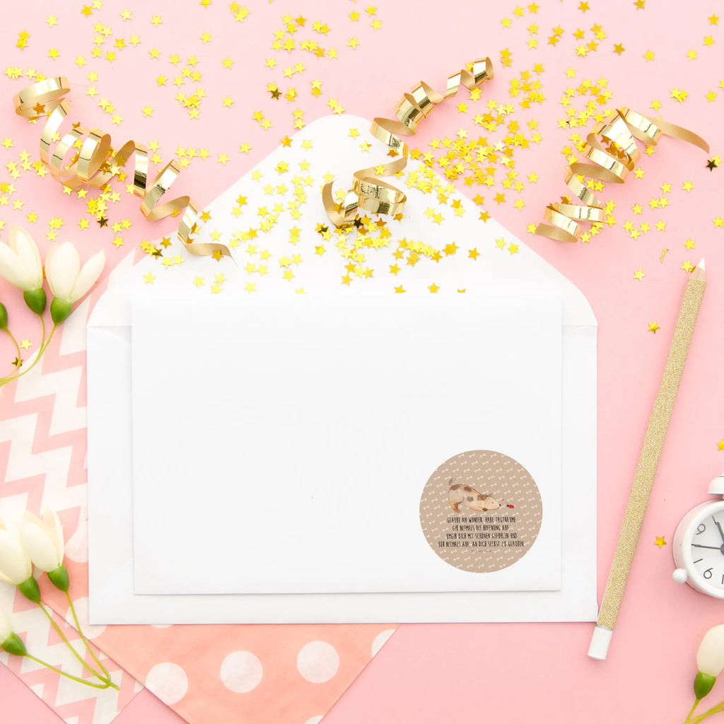 Round sticker Dog ladybug Kindergeburtstag, Runde Aufkleber Für Hochzeit, Blanko Rundaufkleber, Runde Aufkleber Groß, Rundes Klebeetikett, Runde Aufkleber Klein, Runde Aufkleber Für Kinderzimmer, Matte Runde Aufkleber, Runde Papieraufkleber, Runde Aufkleber Für Geschenke, Runde Klebepunkte, Runde Beschriftungsetiketten, Transparentes Rundetikett, Runde Stickerfolie, Runder Aufkleber, Runde Aufkleber Set, Runde Haftfolie, Rundes Siegel, Runde Etikettenrolle, UV-Beständiger Runder Sticker, Sammeln, Bedruckter Runder Aufkleber, Runde Aufkleber Für Verpackungen, Runde Aufkleber Für Flaschen, Runde Vinylaufkleber, Runder Sticker, Weißes Rundlabel, Glänzende Runde Aufkleber, Rundes Label, Runde Klebefolie, Selbstklebender Runder Aufkleber, Farbiger Runder Aufkleber, Rundes Etikett, Kreisrunder Aufkleber, Wasserfester Runder Aufkleber, Tierliebhaber, Haustier, Hund, Hundemotiv, Sprüche, Hunderasse, Hundebesitzer, Hundespruch, Hunde, Mischlinghund, Marienkäfer, Mischling