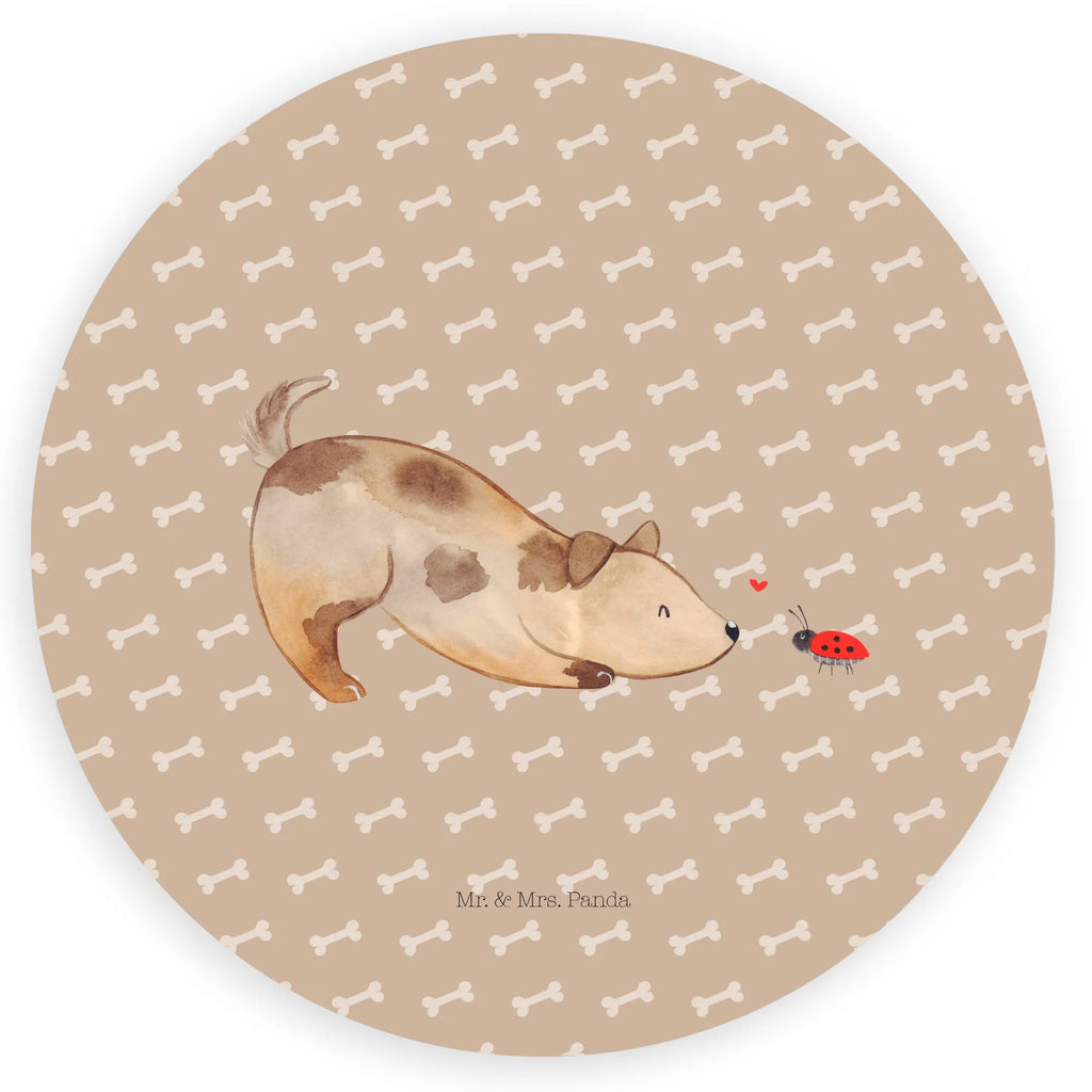 Round sticker Dog ladybug Kindergeburtstag, Runde Aufkleber Für Hochzeit, Blanko Rundaufkleber, Runde Aufkleber Groß, Rundes Klebeetikett, Runde Aufkleber Klein, Runde Aufkleber Für Kinderzimmer, Matte Runde Aufkleber, Runde Papieraufkleber, Runde Aufkleber Für Geschenke, Runde Klebepunkte, Runde Beschriftungsetiketten, Transparentes Rundetikett, Runde Stickerfolie, Runder Aufkleber, Runde Aufkleber Set, Runde Haftfolie, Rundes Siegel, Runde Etikettenrolle, UV-Beständiger Runder Sticker, Sammeln, Bedruckter Runder Aufkleber, Runde Aufkleber Für Verpackungen, Runde Aufkleber Für Flaschen, Runde Vinylaufkleber, Runder Sticker, Weißes Rundlabel, Glänzende Runde Aufkleber, Rundes Label, Runde Klebefolie, Selbstklebender Runder Aufkleber, Farbiger Runder Aufkleber, Rundes Etikett, Kreisrunder Aufkleber, Wasserfester Runder Aufkleber, Tierliebhaber, Haustier, Hund, Hundemotiv, Sprüche, Hunderasse, Hundebesitzer, Hundespruch, Hunde, Mischlinghund, Marienkäfer, Mischling