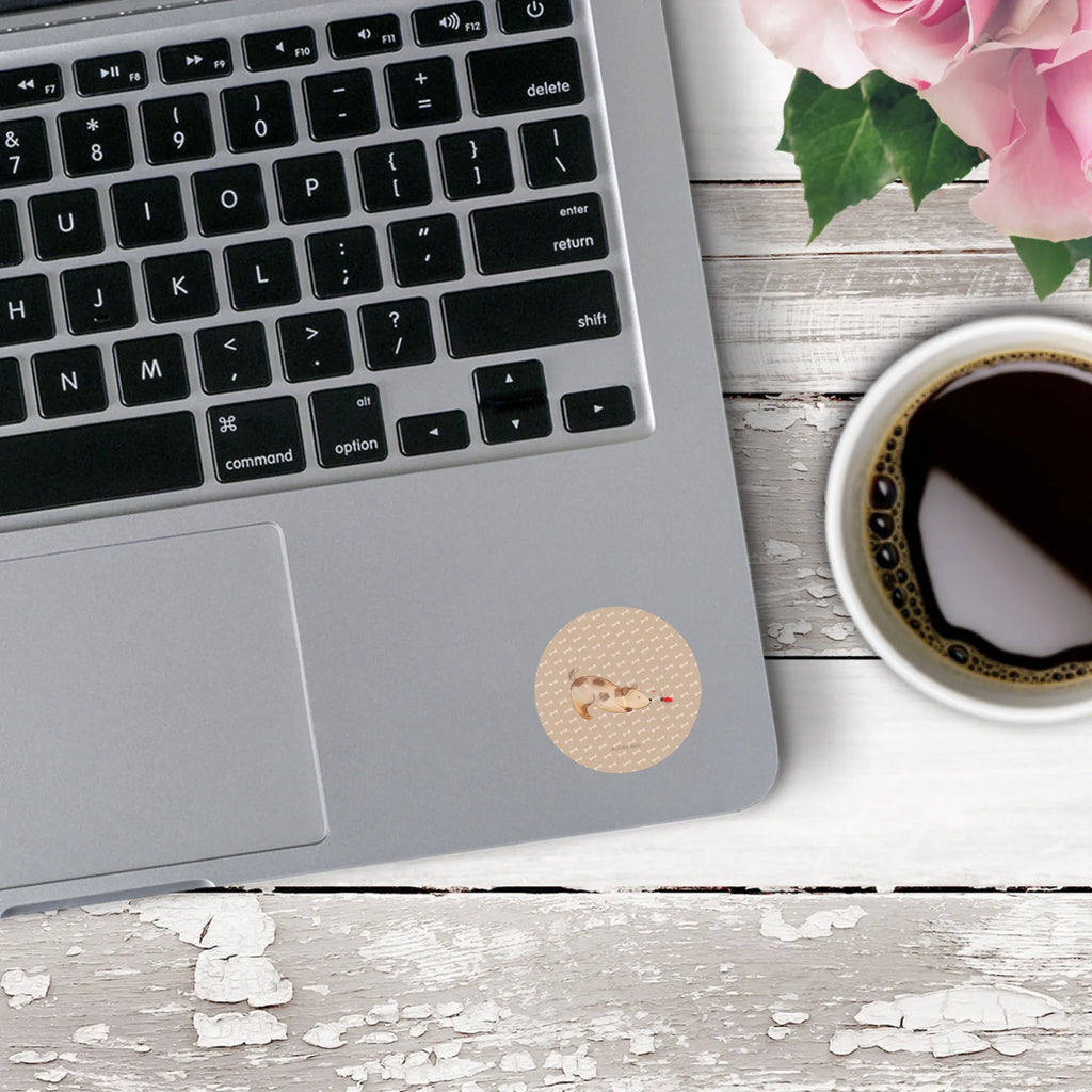 Round sticker Dog ladybug Kindergeburtstag, Runde Aufkleber Für Hochzeit, Blanko Rundaufkleber, Runde Aufkleber Groß, Rundes Klebeetikett, Runde Aufkleber Klein, Runde Aufkleber Für Kinderzimmer, Matte Runde Aufkleber, Runde Papieraufkleber, Runde Aufkleber Für Geschenke, Runde Klebepunkte, Runde Beschriftungsetiketten, Transparentes Rundetikett, Runde Stickerfolie, Runder Aufkleber, Runde Aufkleber Set, Runde Haftfolie, Rundes Siegel, Runde Etikettenrolle, UV-Beständiger Runder Sticker, Sammeln, Bedruckter Runder Aufkleber, Runde Aufkleber Für Verpackungen, Runde Aufkleber Für Flaschen, Runde Vinylaufkleber, Runder Sticker, Weißes Rundlabel, Glänzende Runde Aufkleber, Rundes Label, Runde Klebefolie, Selbstklebender Runder Aufkleber, Farbiger Runder Aufkleber, Rundes Etikett, Kreisrunder Aufkleber, Wasserfester Runder Aufkleber, Tierliebhaber, Haustier, Hund, Hundemotiv, Sprüche, Hunderasse, Hundebesitzer, Hundespruch, Hunde, Mischlinghund, Marienkäfer, Mischling