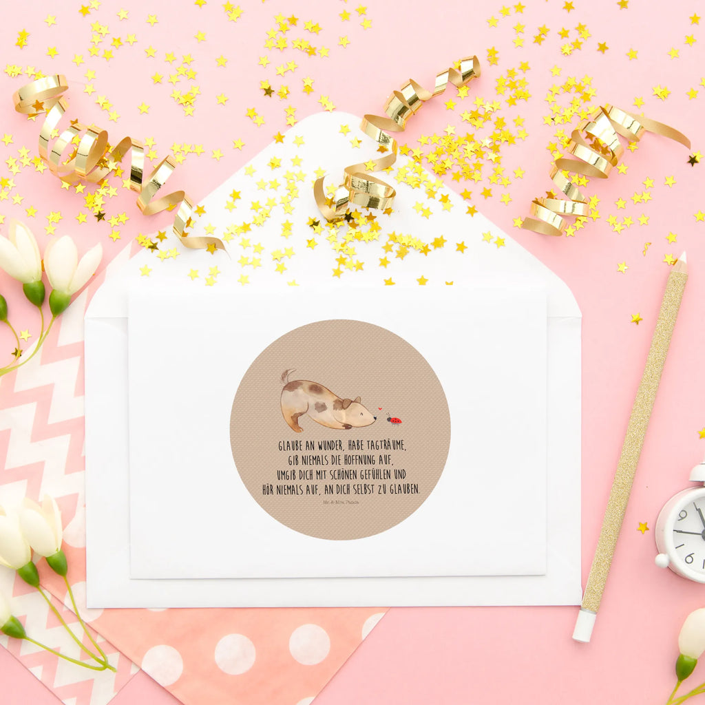 Round sticker Dog ladybug Kindergeburtstag, Runde Aufkleber Für Hochzeit, Blanko Rundaufkleber, Runde Aufkleber Groß, Rundes Klebeetikett, Runde Aufkleber Klein, Runde Aufkleber Für Kinderzimmer, Matte Runde Aufkleber, Runde Papieraufkleber, Runde Aufkleber Für Geschenke, Runde Klebepunkte, Runde Beschriftungsetiketten, Transparentes Rundetikett, Runde Stickerfolie, Runder Aufkleber, Runde Aufkleber Set, Runde Haftfolie, Rundes Siegel, Runde Etikettenrolle, UV-Beständiger Runder Sticker, Sammeln, Bedruckter Runder Aufkleber, Runde Aufkleber Für Verpackungen, Runde Aufkleber Für Flaschen, Runde Vinylaufkleber, Runder Sticker, Weißes Rundlabel, Glänzende Runde Aufkleber, Rundes Label, Runde Klebefolie, Selbstklebender Runder Aufkleber, Farbiger Runder Aufkleber, Rundes Etikett, Kreisrunder Aufkleber, Wasserfester Runder Aufkleber, Tierliebhaber, Haustier, Hund, Hundemotiv, Sprüche, Hunderasse, Hundebesitzer, Hundespruch, Hunde, Mischlinghund, Marienkäfer, Mischling