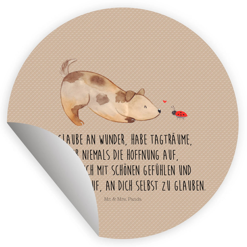 Round sticker Dog ladybug Kindergeburtstag, Runde Aufkleber Für Hochzeit, Blanko Rundaufkleber, Runde Aufkleber Groß, Rundes Klebeetikett, Runde Aufkleber Klein, Runde Aufkleber Für Kinderzimmer, Matte Runde Aufkleber, Runde Papieraufkleber, Runde Aufkleber Für Geschenke, Runde Klebepunkte, Runde Beschriftungsetiketten, Transparentes Rundetikett, Runde Stickerfolie, Runder Aufkleber, Runde Aufkleber Set, Runde Haftfolie, Rundes Siegel, Runde Etikettenrolle, UV-Beständiger Runder Sticker, Sammeln, Bedruckter Runder Aufkleber, Runde Aufkleber Für Verpackungen, Runde Aufkleber Für Flaschen, Runde Vinylaufkleber, Runder Sticker, Weißes Rundlabel, Glänzende Runde Aufkleber, Rundes Label, Runde Klebefolie, Selbstklebender Runder Aufkleber, Farbiger Runder Aufkleber, Rundes Etikett, Kreisrunder Aufkleber, Wasserfester Runder Aufkleber, Tierliebhaber, Haustier, Hund, Hundemotiv, Sprüche, Hunderasse, Hundebesitzer, Hundespruch, Hunde, Mischlinghund, Marienkäfer, Mischling