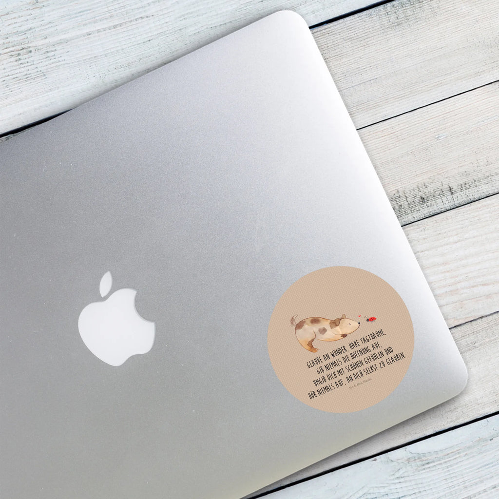 Round sticker Dog ladybug Kindergeburtstag, Runde Aufkleber Für Hochzeit, Blanko Rundaufkleber, Runde Aufkleber Groß, Rundes Klebeetikett, Runde Aufkleber Klein, Runde Aufkleber Für Kinderzimmer, Matte Runde Aufkleber, Runde Papieraufkleber, Runde Aufkleber Für Geschenke, Runde Klebepunkte, Runde Beschriftungsetiketten, Transparentes Rundetikett, Runde Stickerfolie, Runder Aufkleber, Runde Aufkleber Set, Runde Haftfolie, Rundes Siegel, Runde Etikettenrolle, UV-Beständiger Runder Sticker, Sammeln, Bedruckter Runder Aufkleber, Runde Aufkleber Für Verpackungen, Runde Aufkleber Für Flaschen, Runde Vinylaufkleber, Runder Sticker, Weißes Rundlabel, Glänzende Runde Aufkleber, Rundes Label, Runde Klebefolie, Selbstklebender Runder Aufkleber, Farbiger Runder Aufkleber, Rundes Etikett, Kreisrunder Aufkleber, Wasserfester Runder Aufkleber, Tierliebhaber, Haustier, Hund, Hundemotiv, Sprüche, Hunderasse, Hundebesitzer, Hundespruch, Hunde, Mischlinghund, Marienkäfer, Mischling