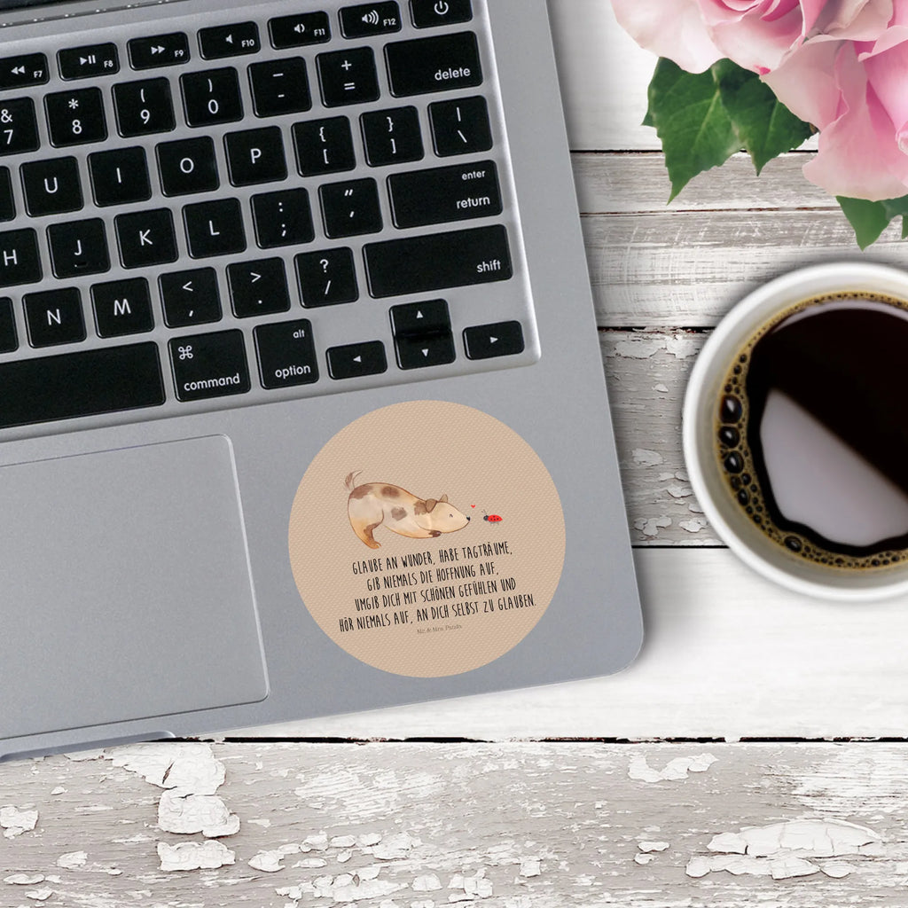 Round sticker Dog ladybug Kindergeburtstag, Runde Aufkleber Für Hochzeit, Blanko Rundaufkleber, Runde Aufkleber Groß, Rundes Klebeetikett, Runde Aufkleber Klein, Runde Aufkleber Für Kinderzimmer, Matte Runde Aufkleber, Runde Papieraufkleber, Runde Aufkleber Für Geschenke, Runde Klebepunkte, Runde Beschriftungsetiketten, Transparentes Rundetikett, Runde Stickerfolie, Runder Aufkleber, Runde Aufkleber Set, Runde Haftfolie, Rundes Siegel, Runde Etikettenrolle, UV-Beständiger Runder Sticker, Sammeln, Bedruckter Runder Aufkleber, Runde Aufkleber Für Verpackungen, Runde Aufkleber Für Flaschen, Runde Vinylaufkleber, Runder Sticker, Weißes Rundlabel, Glänzende Runde Aufkleber, Rundes Label, Runde Klebefolie, Selbstklebender Runder Aufkleber, Farbiger Runder Aufkleber, Rundes Etikett, Kreisrunder Aufkleber, Wasserfester Runder Aufkleber, Tierliebhaber, Haustier, Hund, Hundemotiv, Sprüche, Hunderasse, Hundebesitzer, Hundespruch, Hunde, Mischlinghund, Marienkäfer, Mischling