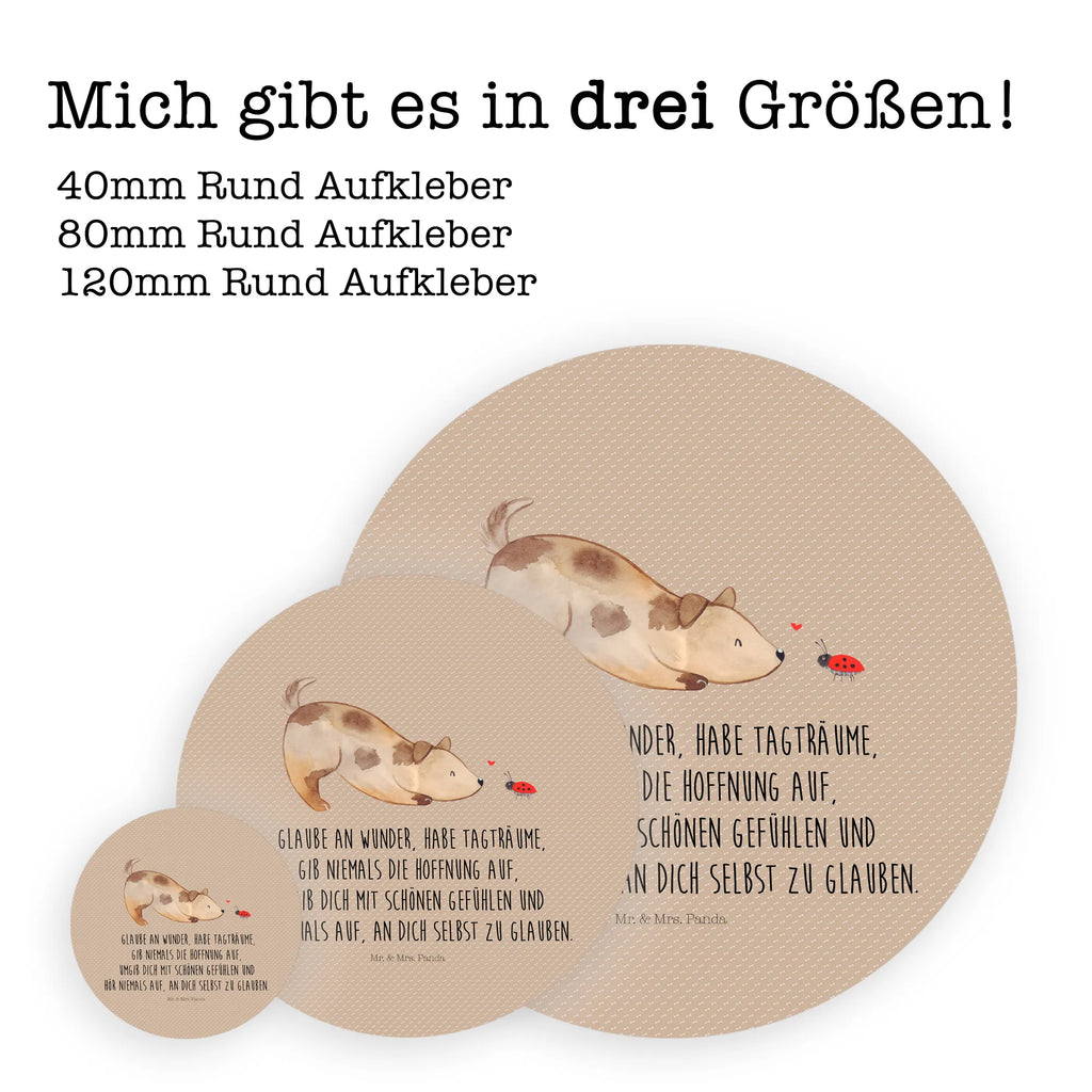 Round sticker Dog ladybug Kindergeburtstag, Runde Aufkleber Für Hochzeit, Blanko Rundaufkleber, Runde Aufkleber Groß, Rundes Klebeetikett, Runde Aufkleber Klein, Runde Aufkleber Für Kinderzimmer, Matte Runde Aufkleber, Runde Papieraufkleber, Runde Aufkleber Für Geschenke, Runde Klebepunkte, Runde Beschriftungsetiketten, Transparentes Rundetikett, Runde Stickerfolie, Runder Aufkleber, Runde Aufkleber Set, Runde Haftfolie, Rundes Siegel, Runde Etikettenrolle, UV-Beständiger Runder Sticker, Sammeln, Bedruckter Runder Aufkleber, Runde Aufkleber Für Verpackungen, Runde Aufkleber Für Flaschen, Runde Vinylaufkleber, Runder Sticker, Weißes Rundlabel, Glänzende Runde Aufkleber, Rundes Label, Runde Klebefolie, Selbstklebender Runder Aufkleber, Farbiger Runder Aufkleber, Rundes Etikett, Kreisrunder Aufkleber, Wasserfester Runder Aufkleber, Tierliebhaber, Haustier, Hund, Hundemotiv, Sprüche, Hunderasse, Hundebesitzer, Hundespruch, Hunde, Mischlinghund, Marienkäfer, Mischling