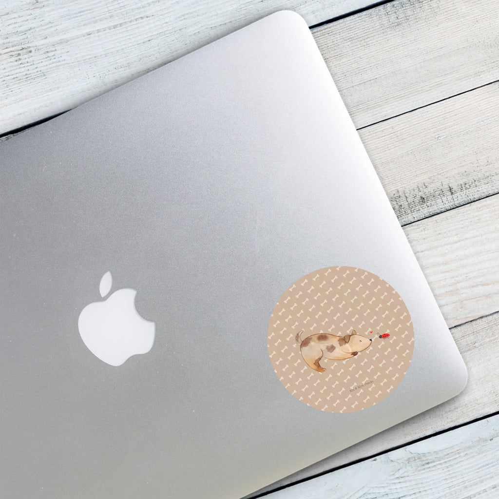 Round sticker Dog ladybug Kindergeburtstag, Runde Aufkleber Für Hochzeit, Blanko Rundaufkleber, Runde Aufkleber Groß, Rundes Klebeetikett, Runde Aufkleber Klein, Runde Aufkleber Für Kinderzimmer, Matte Runde Aufkleber, Runde Papieraufkleber, Runde Aufkleber Für Geschenke, Runde Klebepunkte, Runde Beschriftungsetiketten, Transparentes Rundetikett, Runde Stickerfolie, Runder Aufkleber, Runde Aufkleber Set, Runde Haftfolie, Rundes Siegel, Runde Etikettenrolle, UV-Beständiger Runder Sticker, Sammeln, Bedruckter Runder Aufkleber, Runde Aufkleber Für Verpackungen, Runde Aufkleber Für Flaschen, Runde Vinylaufkleber, Runder Sticker, Weißes Rundlabel, Glänzende Runde Aufkleber, Rundes Label, Runde Klebefolie, Selbstklebender Runder Aufkleber, Farbiger Runder Aufkleber, Rundes Etikett, Kreisrunder Aufkleber, Wasserfester Runder Aufkleber, Tierliebhaber, Haustier, Hund, Hundemotiv, Sprüche, Hunderasse, Hundebesitzer, Hundespruch, Hunde, Mischlinghund, Marienkäfer, Mischling