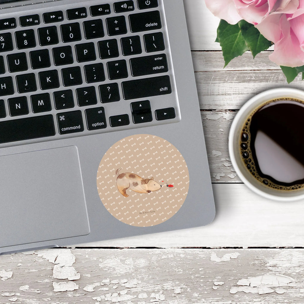 Round sticker Dog ladybug Kindergeburtstag, Runde Aufkleber Für Hochzeit, Blanko Rundaufkleber, Runde Aufkleber Groß, Rundes Klebeetikett, Runde Aufkleber Klein, Runde Aufkleber Für Kinderzimmer, Matte Runde Aufkleber, Runde Papieraufkleber, Runde Aufkleber Für Geschenke, Runde Klebepunkte, Runde Beschriftungsetiketten, Transparentes Rundetikett, Runde Stickerfolie, Runder Aufkleber, Runde Aufkleber Set, Runde Haftfolie, Rundes Siegel, Runde Etikettenrolle, UV-Beständiger Runder Sticker, Sammeln, Bedruckter Runder Aufkleber, Runde Aufkleber Für Verpackungen, Runde Aufkleber Für Flaschen, Runde Vinylaufkleber, Runder Sticker, Weißes Rundlabel, Glänzende Runde Aufkleber, Rundes Label, Runde Klebefolie, Selbstklebender Runder Aufkleber, Farbiger Runder Aufkleber, Rundes Etikett, Kreisrunder Aufkleber, Wasserfester Runder Aufkleber, Tierliebhaber, Haustier, Hund, Hundemotiv, Sprüche, Hunderasse, Hundebesitzer, Hundespruch, Hunde, Mischlinghund, Marienkäfer, Mischling