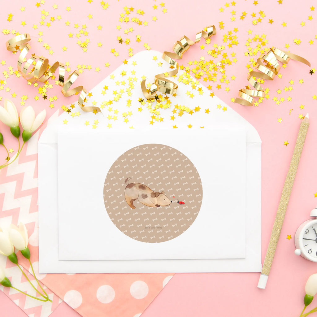 Round sticker Dog ladybug Kindergeburtstag, Runde Aufkleber Für Hochzeit, Blanko Rundaufkleber, Runde Aufkleber Groß, Rundes Klebeetikett, Runde Aufkleber Klein, Runde Aufkleber Für Kinderzimmer, Matte Runde Aufkleber, Runde Papieraufkleber, Runde Aufkleber Für Geschenke, Runde Klebepunkte, Runde Beschriftungsetiketten, Transparentes Rundetikett, Runde Stickerfolie, Runder Aufkleber, Runde Aufkleber Set, Runde Haftfolie, Rundes Siegel, Runde Etikettenrolle, UV-Beständiger Runder Sticker, Sammeln, Bedruckter Runder Aufkleber, Runde Aufkleber Für Verpackungen, Runde Aufkleber Für Flaschen, Runde Vinylaufkleber, Runder Sticker, Weißes Rundlabel, Glänzende Runde Aufkleber, Rundes Label, Runde Klebefolie, Selbstklebender Runder Aufkleber, Farbiger Runder Aufkleber, Rundes Etikett, Kreisrunder Aufkleber, Wasserfester Runder Aufkleber, Tierliebhaber, Haustier, Hund, Hundemotiv, Sprüche, Hunderasse, Hundebesitzer, Hundespruch, Hunde, Mischlinghund, Marienkäfer, Mischling