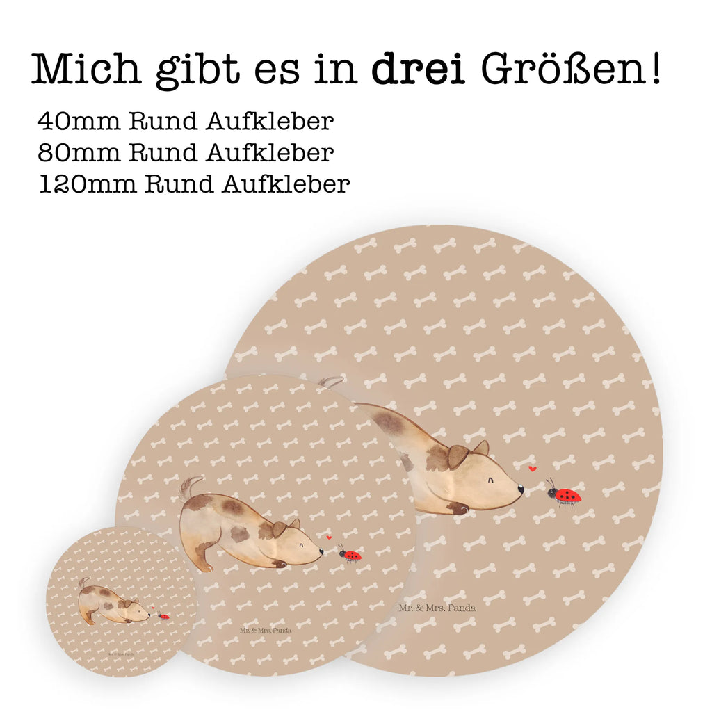 Round sticker Dog ladybug Kindergeburtstag, Runde Aufkleber Für Hochzeit, Blanko Rundaufkleber, Runde Aufkleber Groß, Rundes Klebeetikett, Runde Aufkleber Klein, Runde Aufkleber Für Kinderzimmer, Matte Runde Aufkleber, Runde Papieraufkleber, Runde Aufkleber Für Geschenke, Runde Klebepunkte, Runde Beschriftungsetiketten, Transparentes Rundetikett, Runde Stickerfolie, Runder Aufkleber, Runde Aufkleber Set, Runde Haftfolie, Rundes Siegel, Runde Etikettenrolle, UV-Beständiger Runder Sticker, Sammeln, Bedruckter Runder Aufkleber, Runde Aufkleber Für Verpackungen, Runde Aufkleber Für Flaschen, Runde Vinylaufkleber, Runder Sticker, Weißes Rundlabel, Glänzende Runde Aufkleber, Rundes Label, Runde Klebefolie, Selbstklebender Runder Aufkleber, Farbiger Runder Aufkleber, Rundes Etikett, Kreisrunder Aufkleber, Wasserfester Runder Aufkleber, Tierliebhaber, Haustier, Hund, Hundemotiv, Sprüche, Hunderasse, Hundebesitzer, Hundespruch, Hunde, Mischlinghund, Marienkäfer, Mischling