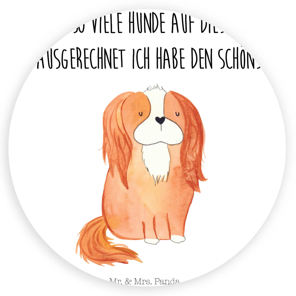 Rund Aufkleber Cavalier King Charles Spaniel Runde Klebefolie, Blanko Rundaufkleber, Glänzende Runde Aufkleber, Farbiger Runder Aufkleber, Runde Papieraufkleber, Runder Sticker, Weißes Rundlabel, Runde Stickerfolie, Runde Aufkleber Klein, Runder Aufkleber, UV-Beständiger Runder Sticker, Runde Vinylaufkleber, Matte Runde Aufkleber, Runde Klebepunkte, Runde Beschriftungsetiketten, Bedruckter Runder Aufkleber, Runde Aufkleber Set, Kreisrunder Aufkleber, Runde Aufkleber Für Hochzeit, Runde Aufkleber Für Geschenke, Runde Aufkleber Für Verpackungen, Runde Aufkleber Groß, Runde Haftfolie, Runde Etikettenrolle, Rundes Label, Transparentes Rundetikett, Wasserfester Runder Aufkleber, Kindergeburtstag, Rundes Klebeetikett, Selbstklebender Runder Aufkleber, Runde Aufkleber Für Kinderzimmer, Sammeln, Runde Aufkleber Für Flaschen, Rundes Etikett, Rundes Siegel, Tierliebhaber, Haustier, Hund, Hundemotiv, Sprüche, Hunderasse, Hundebesitzer, Cavalier King Charles Spaniel, Schönster Hund, Spaniel, Cockerspaniel, Spruch
