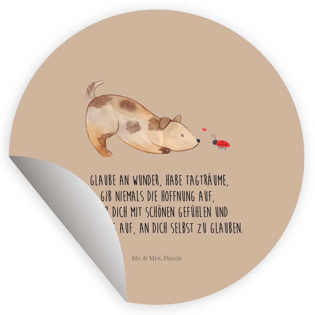 Round sticker Dog ladybug Kindergeburtstag, Runde Aufkleber Für Hochzeit, Blanko Rundaufkleber, Runde Aufkleber Groß, Rundes Klebeetikett, Runde Aufkleber Klein, Runde Aufkleber Für Kinderzimmer, Matte Runde Aufkleber, Runde Papieraufkleber, Runde Aufkleber Für Geschenke, Runde Klebepunkte, Runde Beschriftungsetiketten, Transparentes Rundetikett, Runde Stickerfolie, Runder Aufkleber, Runde Aufkleber Set, Runde Haftfolie, Rundes Siegel, Runde Etikettenrolle, UV-Beständiger Runder Sticker, Sammeln, Bedruckter Runder Aufkleber, Runde Aufkleber Für Verpackungen, Runde Aufkleber Für Flaschen, Runde Vinylaufkleber, Runder Sticker, Weißes Rundlabel, Glänzende Runde Aufkleber, Rundes Label, Runde Klebefolie, Selbstklebender Runder Aufkleber, Farbiger Runder Aufkleber, Rundes Etikett, Kreisrunder Aufkleber, Wasserfester Runder Aufkleber, Tierliebhaber, Haustier, Hund, Hundemotiv, Sprüche, Hunderasse, Hundebesitzer, Hundespruch, Hunde, Mischlinghund, Marienkäfer, Mischling