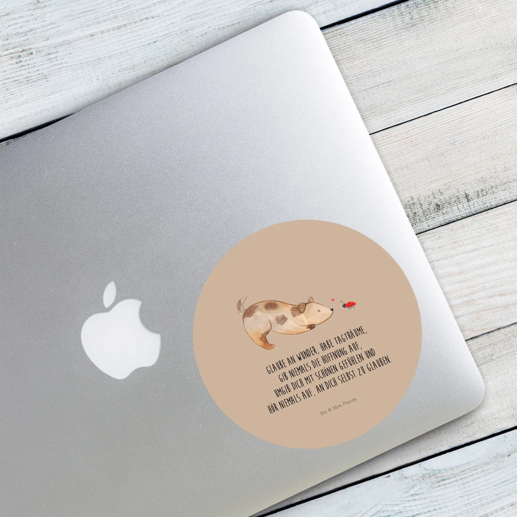 Round sticker Dog ladybug Kindergeburtstag, Runde Aufkleber Für Hochzeit, Blanko Rundaufkleber, Runde Aufkleber Groß, Rundes Klebeetikett, Runde Aufkleber Klein, Runde Aufkleber Für Kinderzimmer, Matte Runde Aufkleber, Runde Papieraufkleber, Runde Aufkleber Für Geschenke, Runde Klebepunkte, Runde Beschriftungsetiketten, Transparentes Rundetikett, Runde Stickerfolie, Runder Aufkleber, Runde Aufkleber Set, Runde Haftfolie, Rundes Siegel, Runde Etikettenrolle, UV-Beständiger Runder Sticker, Sammeln, Bedruckter Runder Aufkleber, Runde Aufkleber Für Verpackungen, Runde Aufkleber Für Flaschen, Runde Vinylaufkleber, Runder Sticker, Weißes Rundlabel, Glänzende Runde Aufkleber, Rundes Label, Runde Klebefolie, Selbstklebender Runder Aufkleber, Farbiger Runder Aufkleber, Rundes Etikett, Kreisrunder Aufkleber, Wasserfester Runder Aufkleber, Tierliebhaber, Haustier, Hund, Hundemotiv, Sprüche, Hunderasse, Hundebesitzer, Hundespruch, Hunde, Mischlinghund, Marienkäfer, Mischling