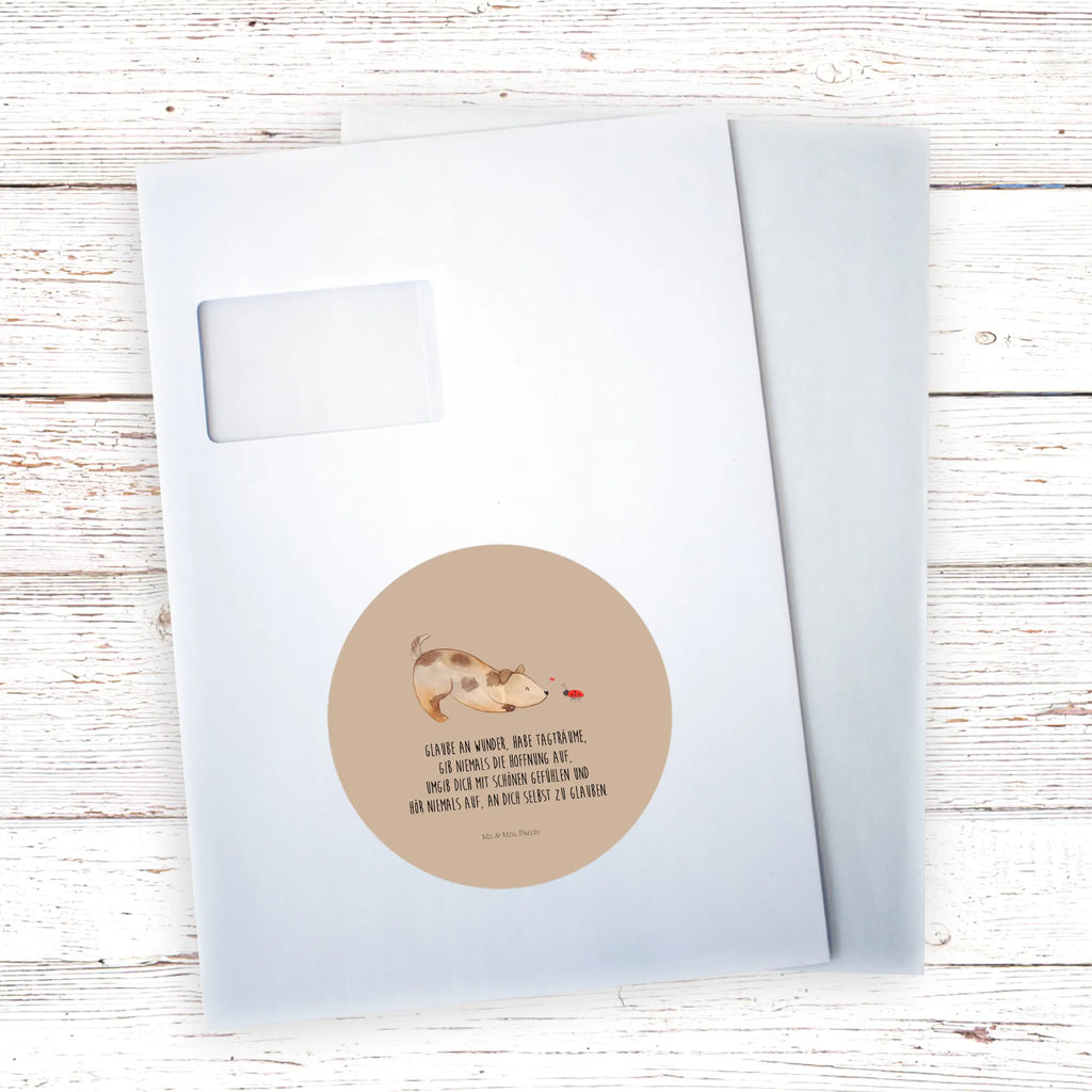 Round sticker Dog ladybug Kindergeburtstag, Runde Aufkleber Für Hochzeit, Blanko Rundaufkleber, Runde Aufkleber Groß, Rundes Klebeetikett, Runde Aufkleber Klein, Runde Aufkleber Für Kinderzimmer, Matte Runde Aufkleber, Runde Papieraufkleber, Runde Aufkleber Für Geschenke, Runde Klebepunkte, Runde Beschriftungsetiketten, Transparentes Rundetikett, Runde Stickerfolie, Runder Aufkleber, Runde Aufkleber Set, Runde Haftfolie, Rundes Siegel, Runde Etikettenrolle, UV-Beständiger Runder Sticker, Sammeln, Bedruckter Runder Aufkleber, Runde Aufkleber Für Verpackungen, Runde Aufkleber Für Flaschen, Runde Vinylaufkleber, Runder Sticker, Weißes Rundlabel, Glänzende Runde Aufkleber, Rundes Label, Runde Klebefolie, Selbstklebender Runder Aufkleber, Farbiger Runder Aufkleber, Rundes Etikett, Kreisrunder Aufkleber, Wasserfester Runder Aufkleber, Tierliebhaber, Haustier, Hund, Hundemotiv, Sprüche, Hunderasse, Hundebesitzer, Hundespruch, Hunde, Mischlinghund, Marienkäfer, Mischling