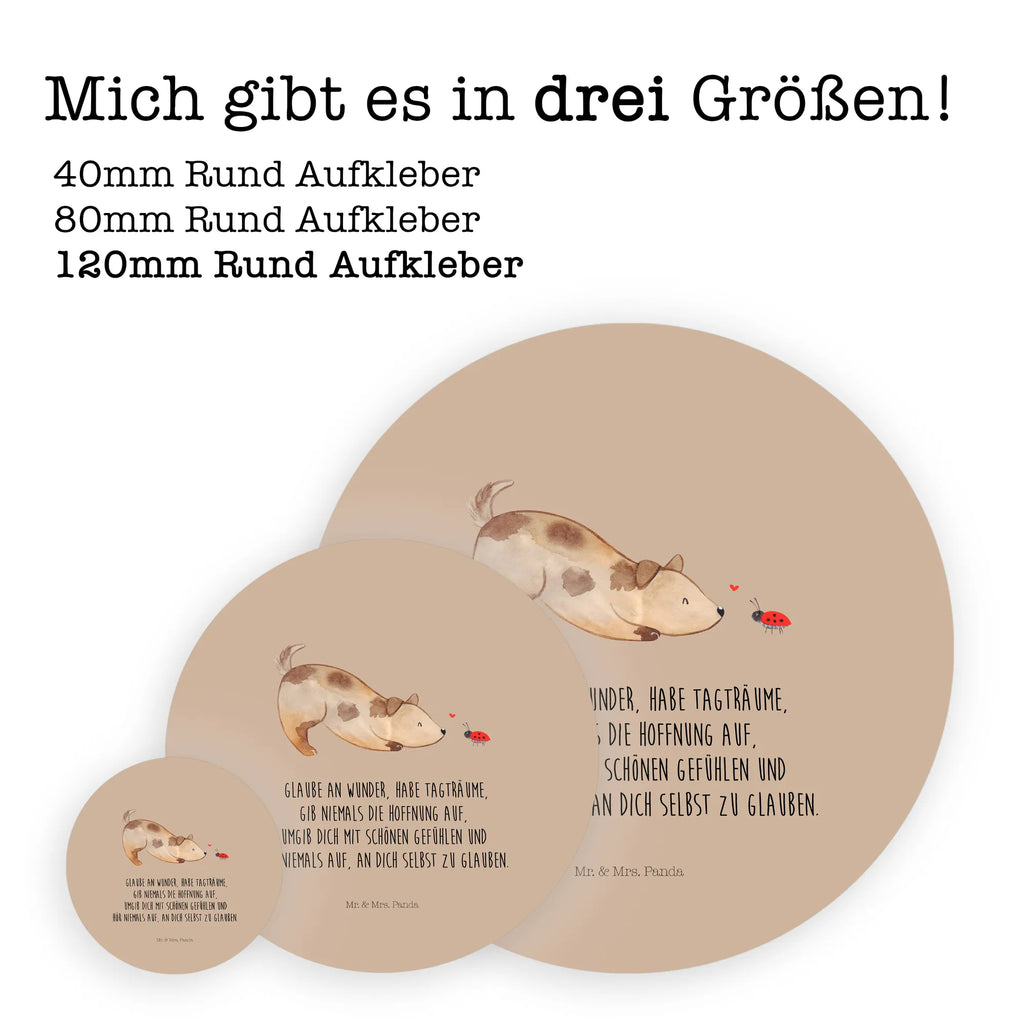 Round sticker Dog ladybug Kindergeburtstag, Runde Aufkleber Für Hochzeit, Blanko Rundaufkleber, Runde Aufkleber Groß, Rundes Klebeetikett, Runde Aufkleber Klein, Runde Aufkleber Für Kinderzimmer, Matte Runde Aufkleber, Runde Papieraufkleber, Runde Aufkleber Für Geschenke, Runde Klebepunkte, Runde Beschriftungsetiketten, Transparentes Rundetikett, Runde Stickerfolie, Runder Aufkleber, Runde Aufkleber Set, Runde Haftfolie, Rundes Siegel, Runde Etikettenrolle, UV-Beständiger Runder Sticker, Sammeln, Bedruckter Runder Aufkleber, Runde Aufkleber Für Verpackungen, Runde Aufkleber Für Flaschen, Runde Vinylaufkleber, Runder Sticker, Weißes Rundlabel, Glänzende Runde Aufkleber, Rundes Label, Runde Klebefolie, Selbstklebender Runder Aufkleber, Farbiger Runder Aufkleber, Rundes Etikett, Kreisrunder Aufkleber, Wasserfester Runder Aufkleber, Tierliebhaber, Haustier, Hund, Hundemotiv, Sprüche, Hunderasse, Hundebesitzer, Hundespruch, Hunde, Mischlinghund, Marienkäfer, Mischling