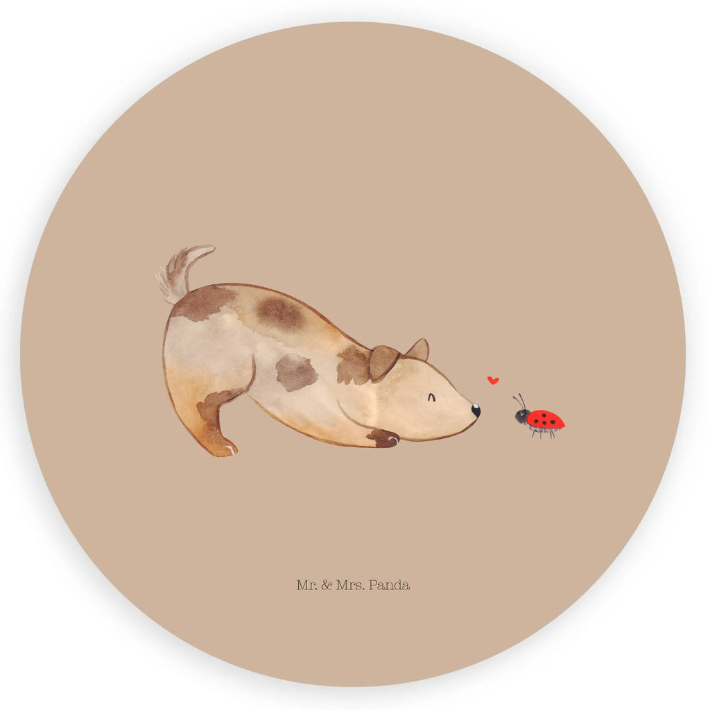 Round sticker Dog ladybug Kindergeburtstag, Runde Aufkleber Für Hochzeit, Blanko Rundaufkleber, Runde Aufkleber Groß, Rundes Klebeetikett, Runde Aufkleber Klein, Runde Aufkleber Für Kinderzimmer, Matte Runde Aufkleber, Runde Papieraufkleber, Runde Aufkleber Für Geschenke, Runde Klebepunkte, Runde Beschriftungsetiketten, Transparentes Rundetikett, Runde Stickerfolie, Runder Aufkleber, Runde Aufkleber Set, Runde Haftfolie, Rundes Siegel, Runde Etikettenrolle, UV-Beständiger Runder Sticker, Sammeln, Bedruckter Runder Aufkleber, Runde Aufkleber Für Verpackungen, Runde Aufkleber Für Flaschen, Runde Vinylaufkleber, Runder Sticker, Weißes Rundlabel, Glänzende Runde Aufkleber, Rundes Label, Runde Klebefolie, Selbstklebender Runder Aufkleber, Farbiger Runder Aufkleber, Rundes Etikett, Kreisrunder Aufkleber, Wasserfester Runder Aufkleber, Tierliebhaber, Haustier, Hund, Hundemotiv, Sprüche, Hunderasse, Hundebesitzer, Hundespruch, Hunde, Mischlinghund, Marienkäfer, Mischling