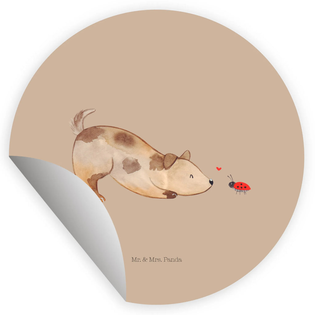 Round sticker Dog ladybug Kindergeburtstag, Runde Aufkleber Für Hochzeit, Blanko Rundaufkleber, Runde Aufkleber Groß, Rundes Klebeetikett, Runde Aufkleber Klein, Runde Aufkleber Für Kinderzimmer, Matte Runde Aufkleber, Runde Papieraufkleber, Runde Aufkleber Für Geschenke, Runde Klebepunkte, Runde Beschriftungsetiketten, Transparentes Rundetikett, Runde Stickerfolie, Runder Aufkleber, Runde Aufkleber Set, Runde Haftfolie, Rundes Siegel, Runde Etikettenrolle, UV-Beständiger Runder Sticker, Sammeln, Bedruckter Runder Aufkleber, Runde Aufkleber Für Verpackungen, Runde Aufkleber Für Flaschen, Runde Vinylaufkleber, Runder Sticker, Weißes Rundlabel, Glänzende Runde Aufkleber, Rundes Label, Runde Klebefolie, Selbstklebender Runder Aufkleber, Farbiger Runder Aufkleber, Rundes Etikett, Kreisrunder Aufkleber, Wasserfester Runder Aufkleber, Tierliebhaber, Haustier, Hund, Hundemotiv, Sprüche, Hunderasse, Hundebesitzer, Hundespruch, Hunde, Mischlinghund, Marienkäfer, Mischling