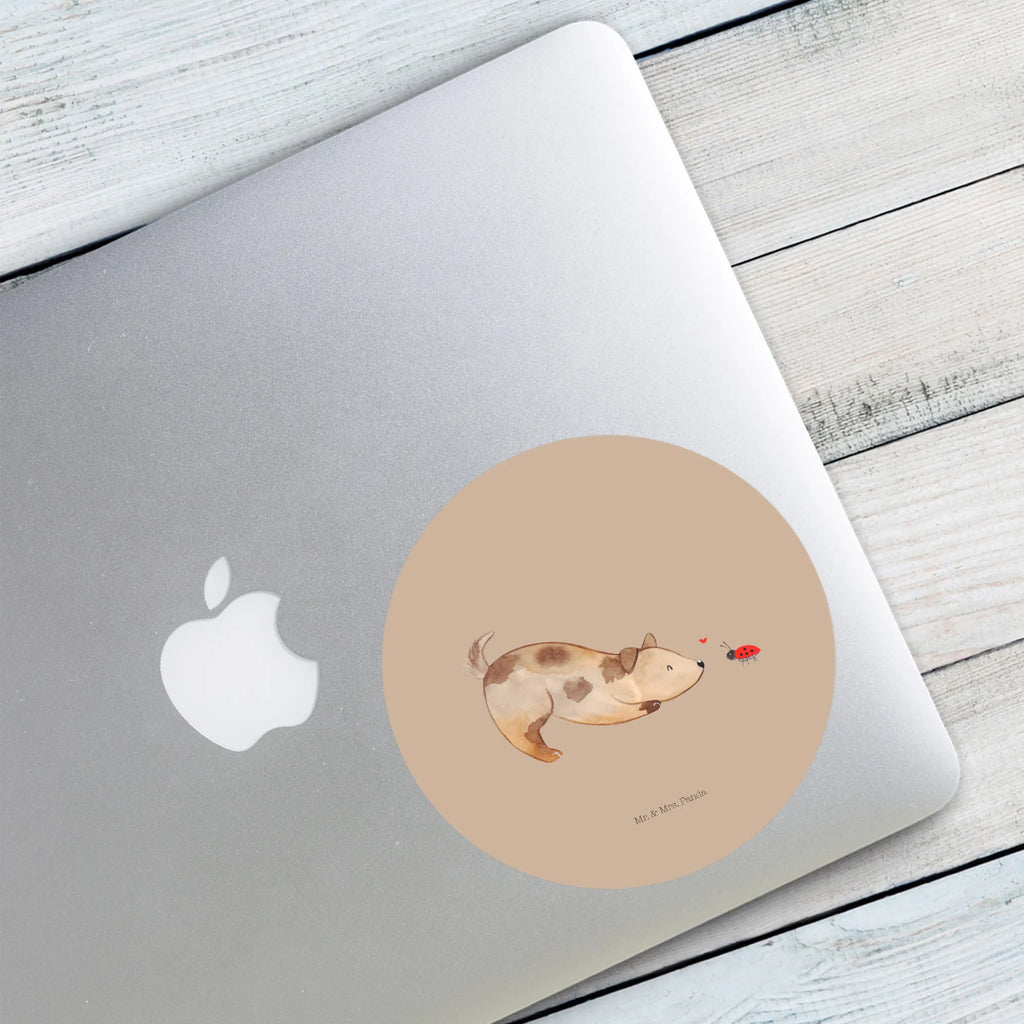 Round sticker Dog ladybug Kindergeburtstag, Runde Aufkleber Für Hochzeit, Blanko Rundaufkleber, Runde Aufkleber Groß, Rundes Klebeetikett, Runde Aufkleber Klein, Runde Aufkleber Für Kinderzimmer, Matte Runde Aufkleber, Runde Papieraufkleber, Runde Aufkleber Für Geschenke, Runde Klebepunkte, Runde Beschriftungsetiketten, Transparentes Rundetikett, Runde Stickerfolie, Runder Aufkleber, Runde Aufkleber Set, Runde Haftfolie, Rundes Siegel, Runde Etikettenrolle, UV-Beständiger Runder Sticker, Sammeln, Bedruckter Runder Aufkleber, Runde Aufkleber Für Verpackungen, Runde Aufkleber Für Flaschen, Runde Vinylaufkleber, Runder Sticker, Weißes Rundlabel, Glänzende Runde Aufkleber, Rundes Label, Runde Klebefolie, Selbstklebender Runder Aufkleber, Farbiger Runder Aufkleber, Rundes Etikett, Kreisrunder Aufkleber, Wasserfester Runder Aufkleber, Tierliebhaber, Haustier, Hund, Hundemotiv, Sprüche, Hunderasse, Hundebesitzer, Hundespruch, Hunde, Mischlinghund, Marienkäfer, Mischling