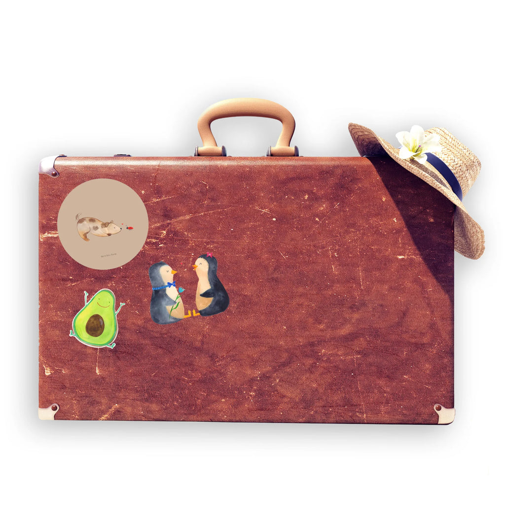 Round sticker Dog ladybug Kindergeburtstag, Runde Aufkleber Für Hochzeit, Blanko Rundaufkleber, Runde Aufkleber Groß, Rundes Klebeetikett, Runde Aufkleber Klein, Runde Aufkleber Für Kinderzimmer, Matte Runde Aufkleber, Runde Papieraufkleber, Runde Aufkleber Für Geschenke, Runde Klebepunkte, Runde Beschriftungsetiketten, Transparentes Rundetikett, Runde Stickerfolie, Runder Aufkleber, Runde Aufkleber Set, Runde Haftfolie, Rundes Siegel, Runde Etikettenrolle, UV-Beständiger Runder Sticker, Sammeln, Bedruckter Runder Aufkleber, Runde Aufkleber Für Verpackungen, Runde Aufkleber Für Flaschen, Runde Vinylaufkleber, Runder Sticker, Weißes Rundlabel, Glänzende Runde Aufkleber, Rundes Label, Runde Klebefolie, Selbstklebender Runder Aufkleber, Farbiger Runder Aufkleber, Rundes Etikett, Kreisrunder Aufkleber, Wasserfester Runder Aufkleber, Tierliebhaber, Haustier, Hund, Hundemotiv, Sprüche, Hunderasse, Hundebesitzer, Hundespruch, Hunde, Mischlinghund, Marienkäfer, Mischling