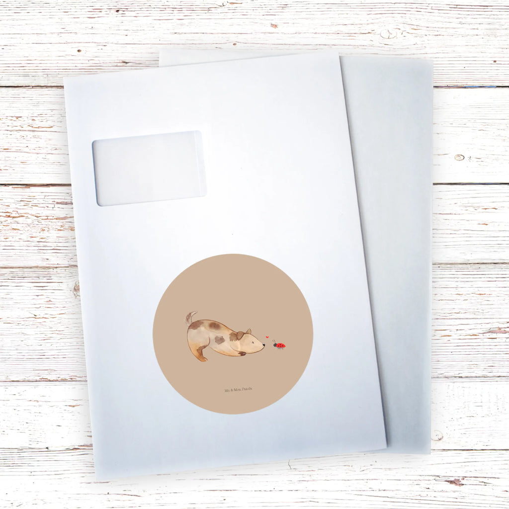 Round sticker Dog ladybug Kindergeburtstag, Runde Aufkleber Für Hochzeit, Blanko Rundaufkleber, Runde Aufkleber Groß, Rundes Klebeetikett, Runde Aufkleber Klein, Runde Aufkleber Für Kinderzimmer, Matte Runde Aufkleber, Runde Papieraufkleber, Runde Aufkleber Für Geschenke, Runde Klebepunkte, Runde Beschriftungsetiketten, Transparentes Rundetikett, Runde Stickerfolie, Runder Aufkleber, Runde Aufkleber Set, Runde Haftfolie, Rundes Siegel, Runde Etikettenrolle, UV-Beständiger Runder Sticker, Sammeln, Bedruckter Runder Aufkleber, Runde Aufkleber Für Verpackungen, Runde Aufkleber Für Flaschen, Runde Vinylaufkleber, Runder Sticker, Weißes Rundlabel, Glänzende Runde Aufkleber, Rundes Label, Runde Klebefolie, Selbstklebender Runder Aufkleber, Farbiger Runder Aufkleber, Rundes Etikett, Kreisrunder Aufkleber, Wasserfester Runder Aufkleber, Tierliebhaber, Haustier, Hund, Hundemotiv, Sprüche, Hunderasse, Hundebesitzer, Hundespruch, Hunde, Mischlinghund, Marienkäfer, Mischling
