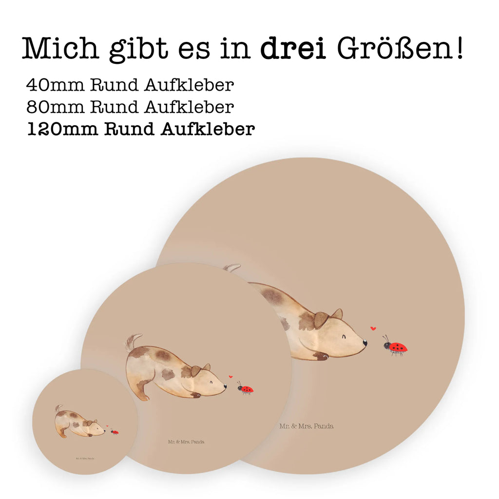 Round sticker Dog ladybug Kindergeburtstag, Runde Aufkleber Für Hochzeit, Blanko Rundaufkleber, Runde Aufkleber Groß, Rundes Klebeetikett, Runde Aufkleber Klein, Runde Aufkleber Für Kinderzimmer, Matte Runde Aufkleber, Runde Papieraufkleber, Runde Aufkleber Für Geschenke, Runde Klebepunkte, Runde Beschriftungsetiketten, Transparentes Rundetikett, Runde Stickerfolie, Runder Aufkleber, Runde Aufkleber Set, Runde Haftfolie, Rundes Siegel, Runde Etikettenrolle, UV-Beständiger Runder Sticker, Sammeln, Bedruckter Runder Aufkleber, Runde Aufkleber Für Verpackungen, Runde Aufkleber Für Flaschen, Runde Vinylaufkleber, Runder Sticker, Weißes Rundlabel, Glänzende Runde Aufkleber, Rundes Label, Runde Klebefolie, Selbstklebender Runder Aufkleber, Farbiger Runder Aufkleber, Rundes Etikett, Kreisrunder Aufkleber, Wasserfester Runder Aufkleber, Tierliebhaber, Haustier, Hund, Hundemotiv, Sprüche, Hunderasse, Hundebesitzer, Hundespruch, Hunde, Mischlinghund, Marienkäfer, Mischling