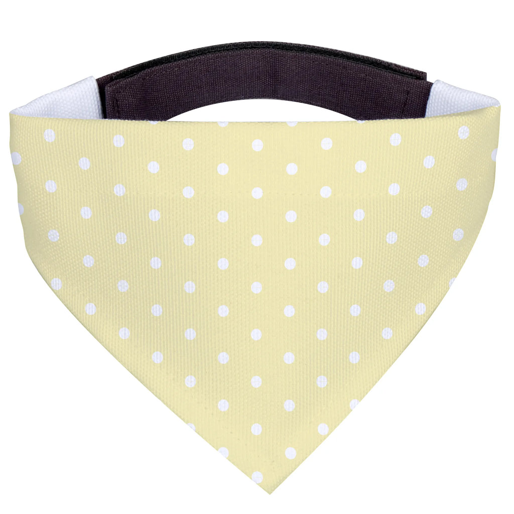 Chusta na szyję dla psa L Wielki zespół Halstuch, Hunde, Tuch, Mittel, Mittelgroße Hunde, Hundehalstuch, Tiermotive, Lustige Sprüche, Gute Laune, Tiere, Pinguin, Maus, Gitarre, Elefant, Hund, Triangel, Musikanten, Band, Musik, Delfin