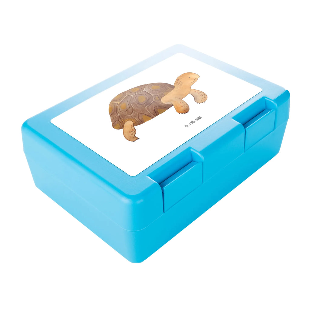 Lunch box tortoise March sandwich box, lunch box, bread box, BPA-free, snack box, Seafood, aquatic animals, ocean, sea, fish, shells, corals, reef, whale, narwhal, sea urchin, lobster, platypus, turtle, manatee, crocodile, orca, shrimp, gifts for seafood lovers, water world, underwater animals, underwater world, vacation, deep sea, seafood fans, gift ideas, seafood decoration, seafood posters, new start, adventure, motivation, get lost, wanderlust, inspiration, favourite person, turtles