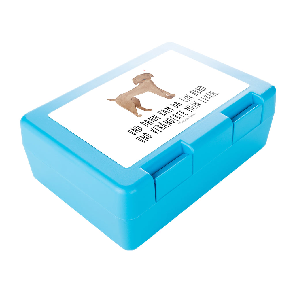 Brotdose Hund Dogge Brotbox, Snackbox, Lunch box, Butterbrotdose, Brotzeitbox, Hund, Hundemotiv, Haustier, Hunderasse, Tierliebhaber, Hundebesitzer, Sprüche, Hunde, Dogge, Deutsche Dogge, Great Dane
